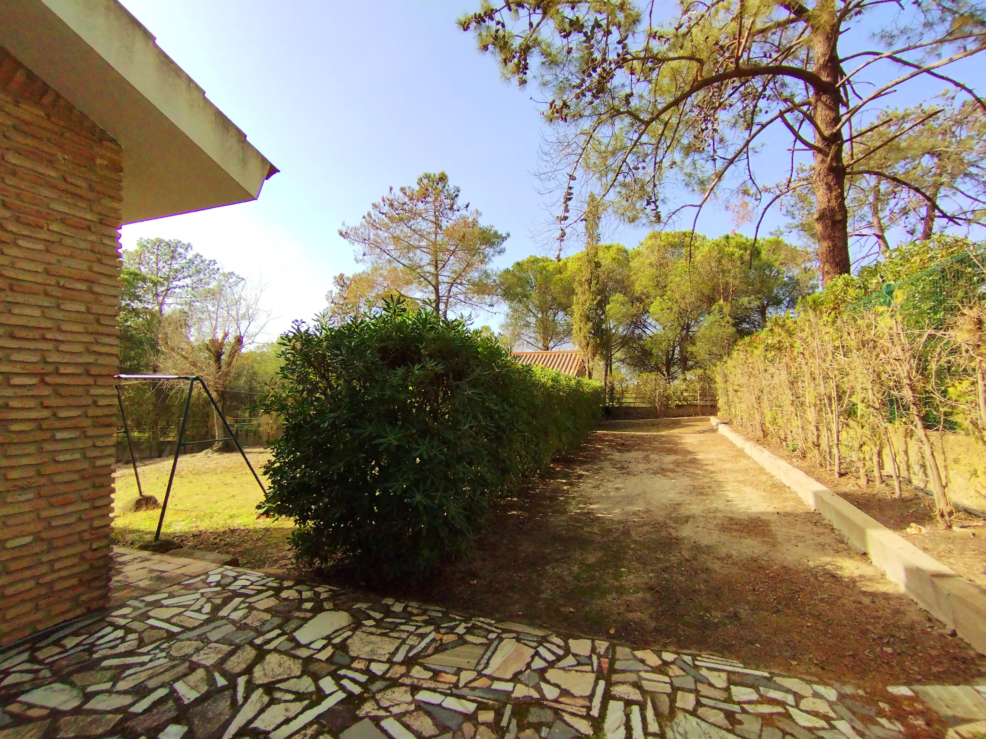 Casas o chalets-Venta-Isla Cristina-1094778-Foto-12