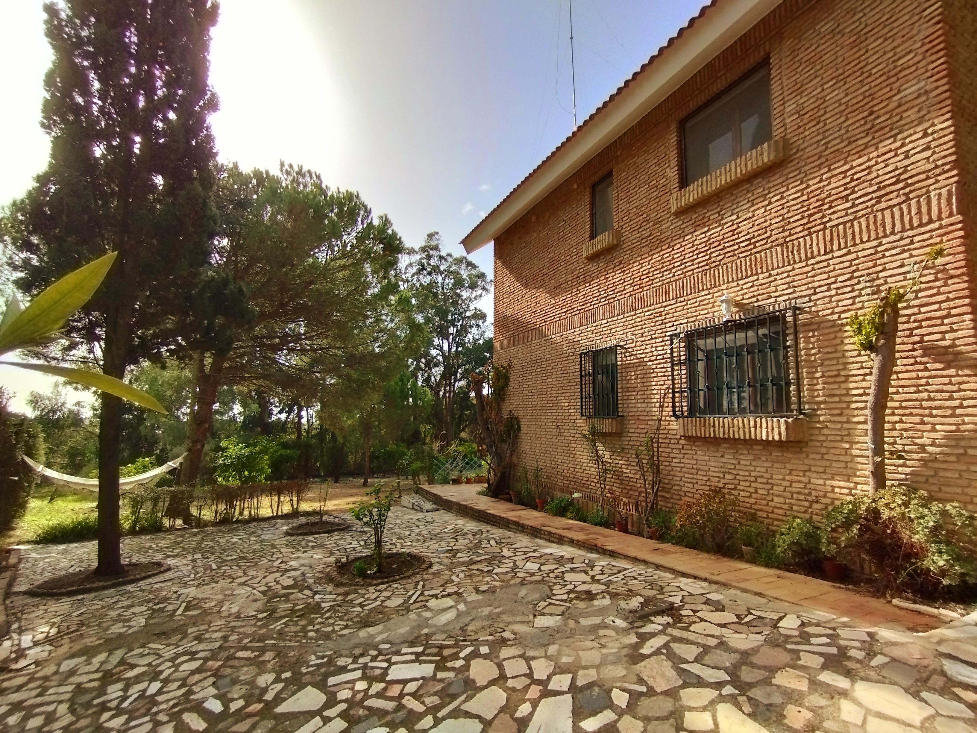Casas o chalets-Venta-Isla Cristina-1094778-Foto-15