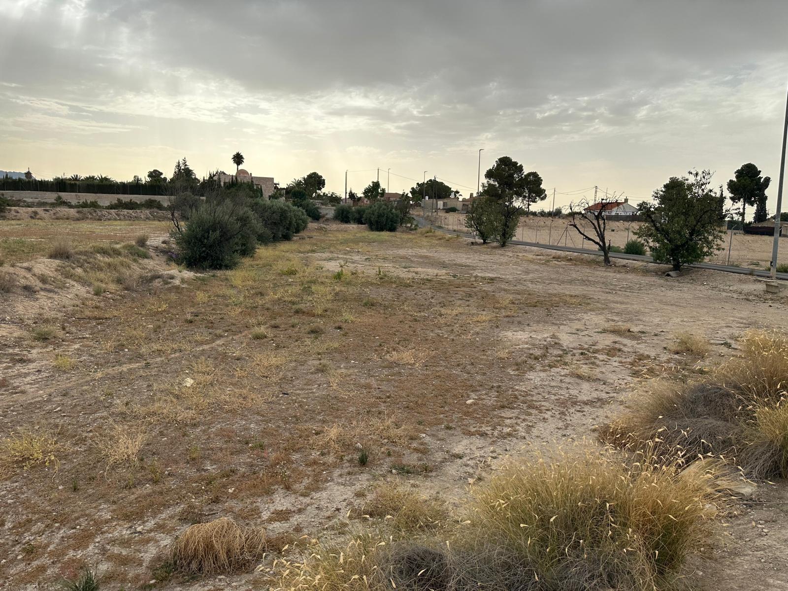 Fincas y solares-Venta-Blanca-1432291-Foto-4