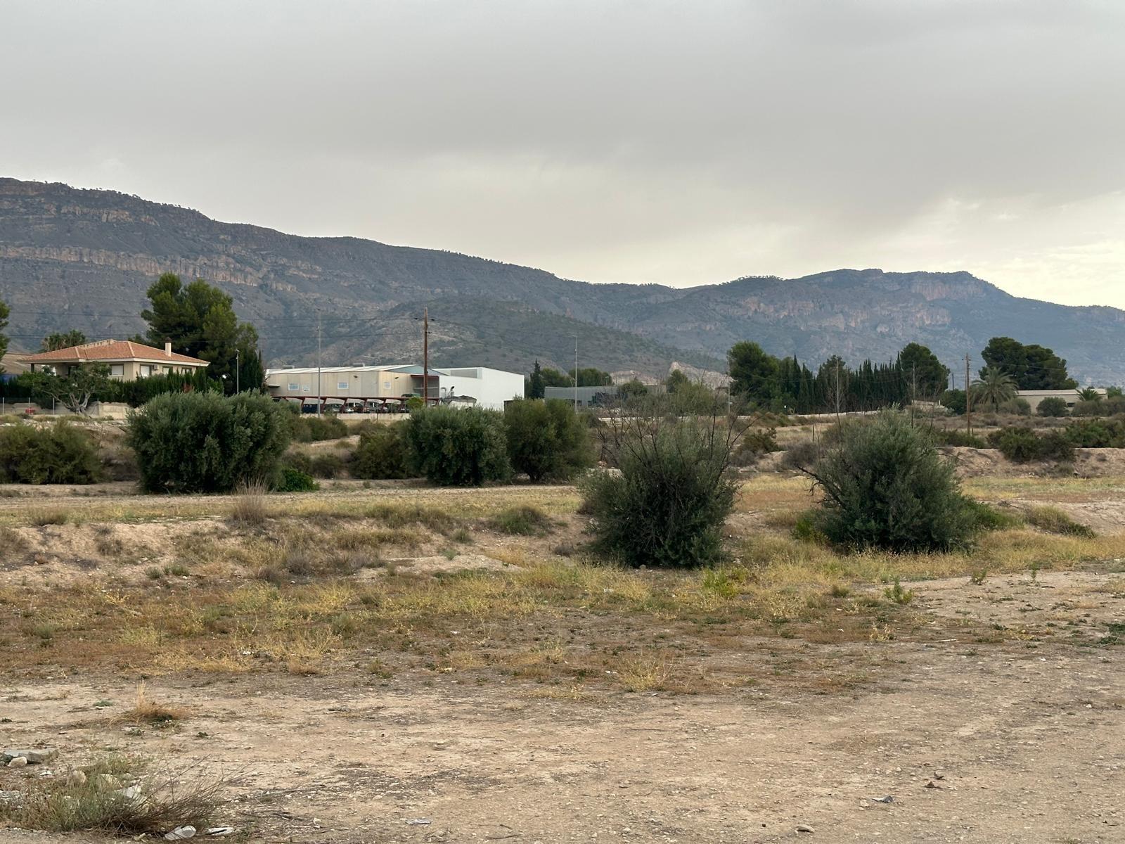 Fincas y solares-Venta-Blanca-1432291-Foto-6