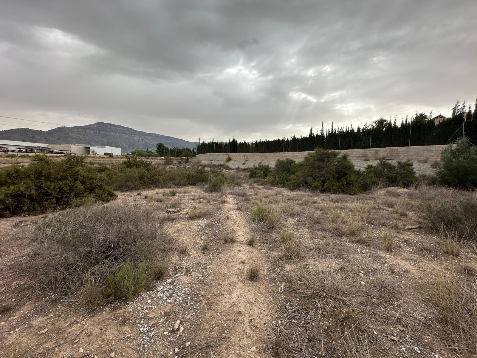 Fincas y solares-Venta-Blanca-1432291-Foto-10