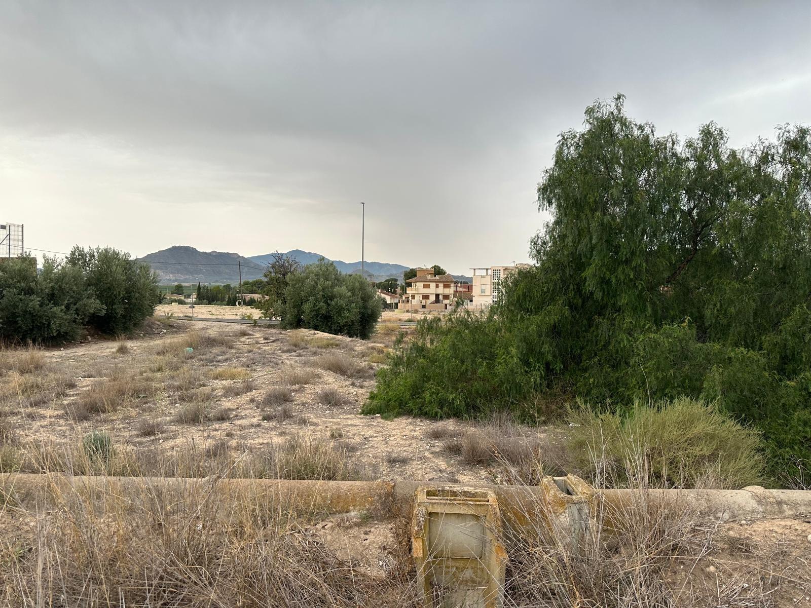 Fincas y solares-Venta-Blanca-1432291-Foto-11