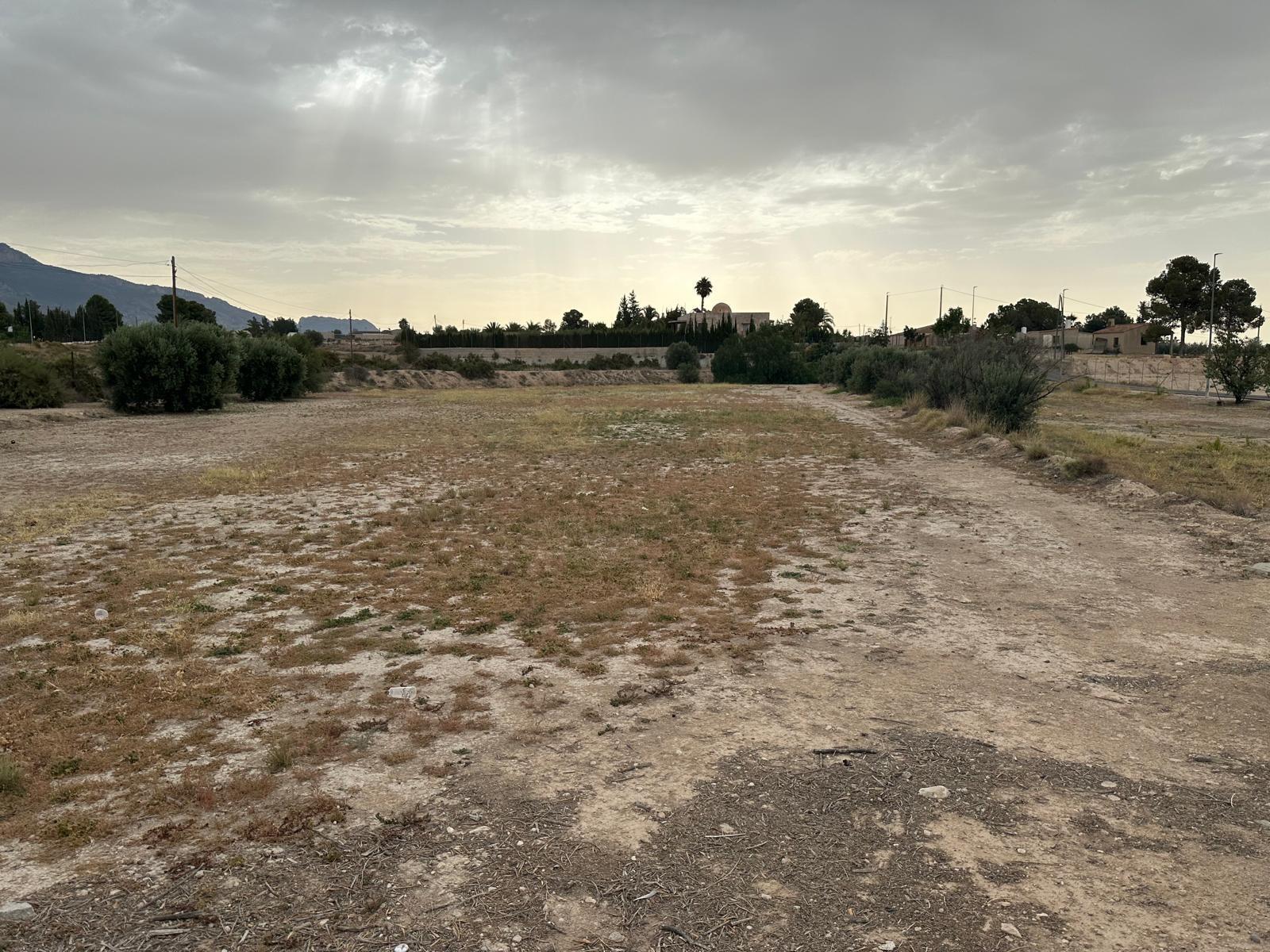 Fincas y solares-Venta-Blanca-1432291-Foto-8