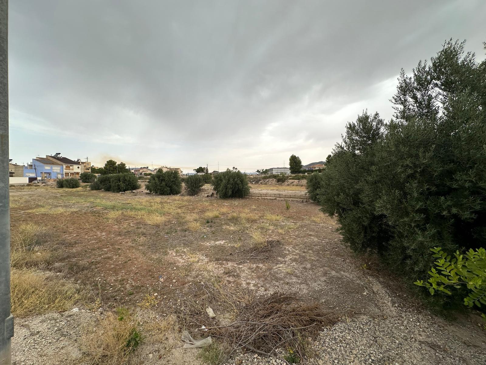 Fincas y solares-Venta-Blanca-1432291-Foto-12
