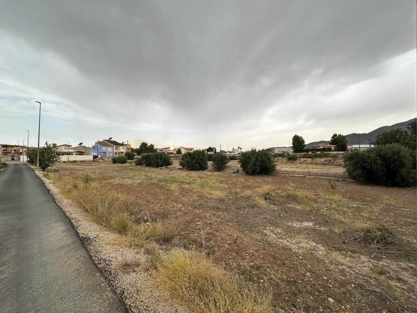Fincas y solares-Venta-Blanca-1432291-Foto-14