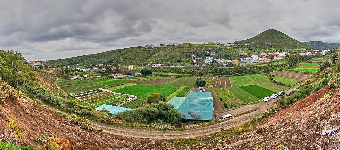 Pisos-Venta-Las Palmas de Gran Canaria-807269-Foto-11