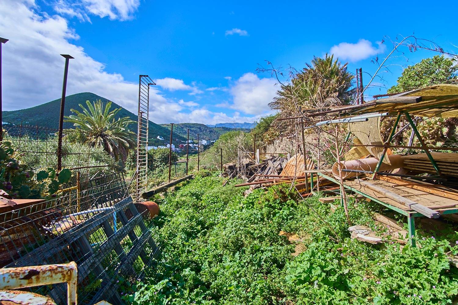 Pisos-Venta-Las Palmas de Gran Canaria-807269-Foto-30