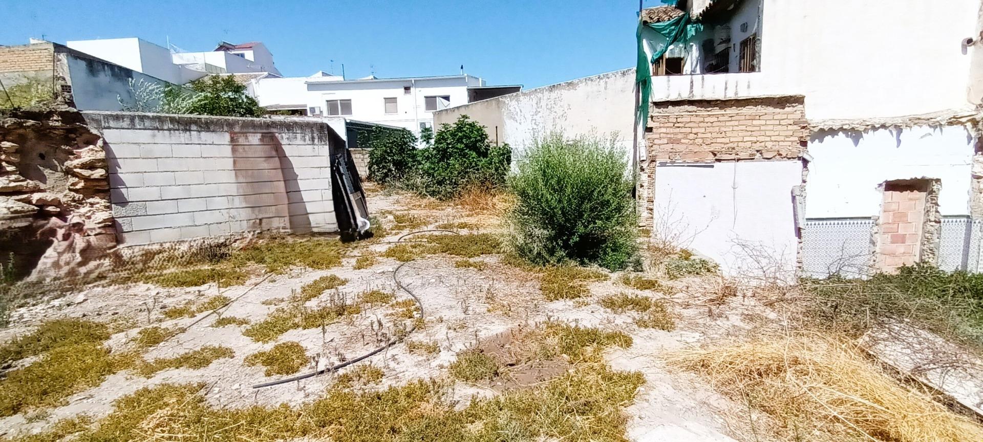 Fincas y solares-Venta-Casariche-1439375-Foto-14