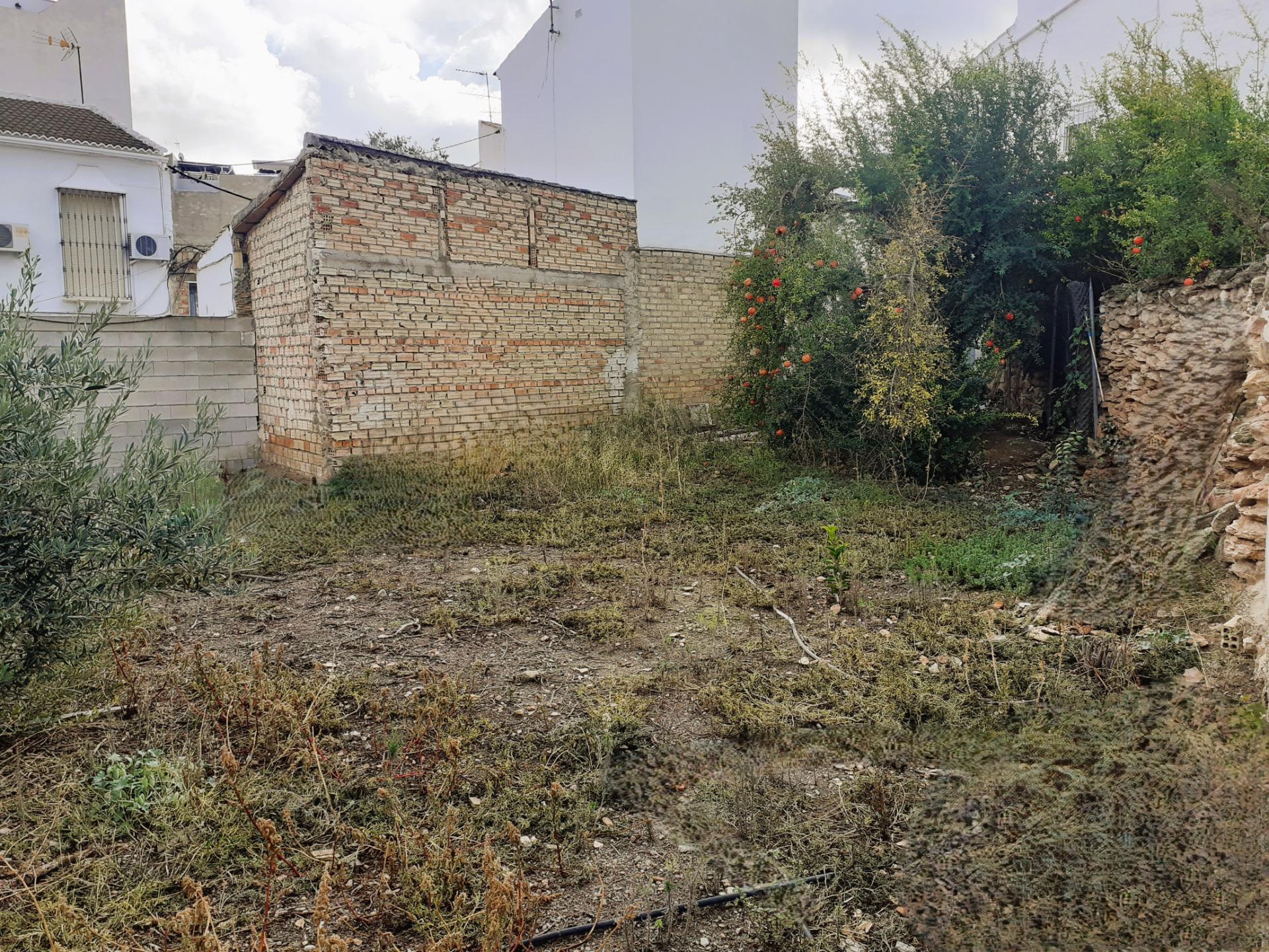 Fincas y solares-Venta-Casariche-1439375-Foto-19