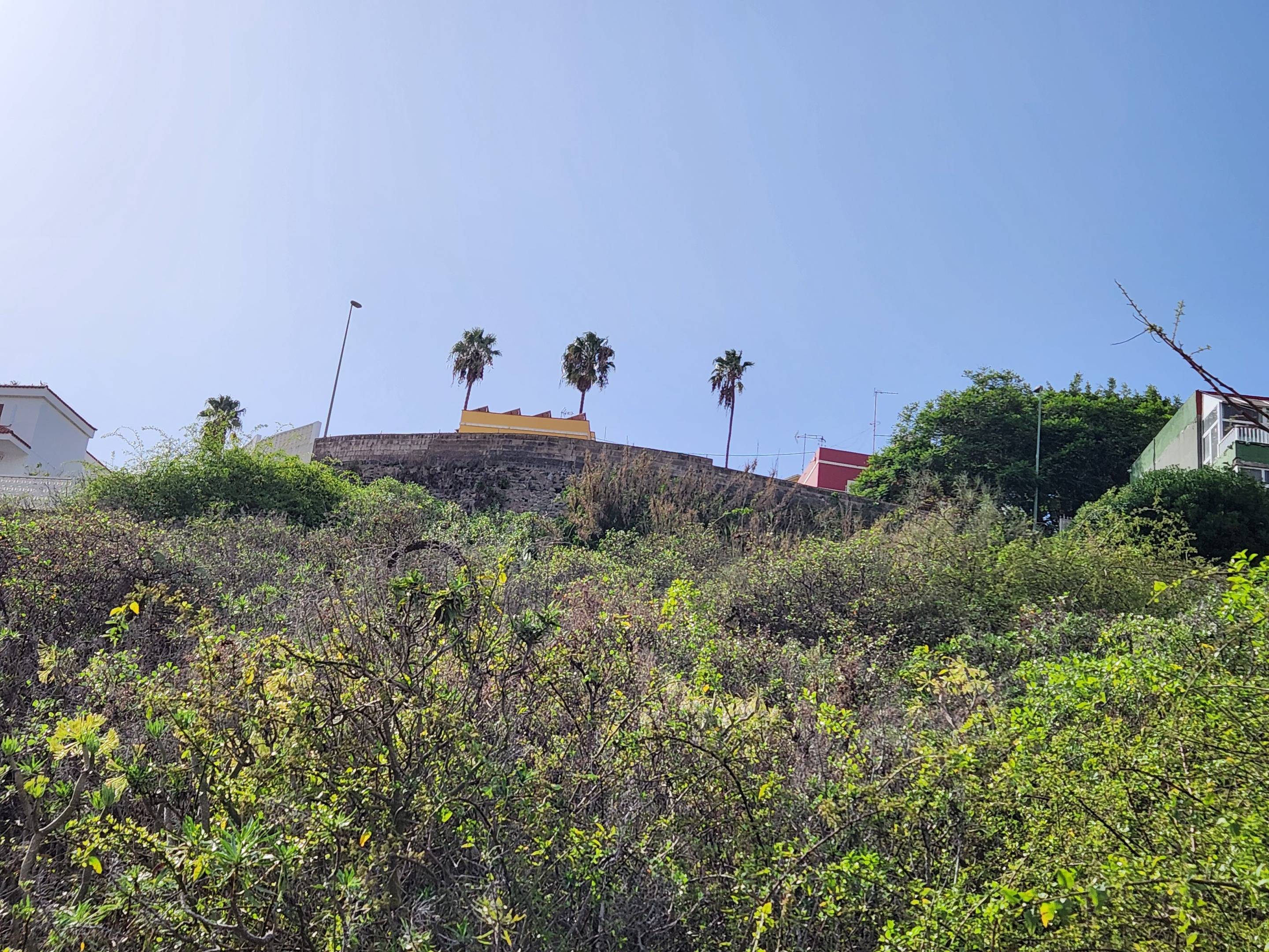 Fincas y solares-Venta-Las Palmas de Gran Canaria-980119-Foto-11