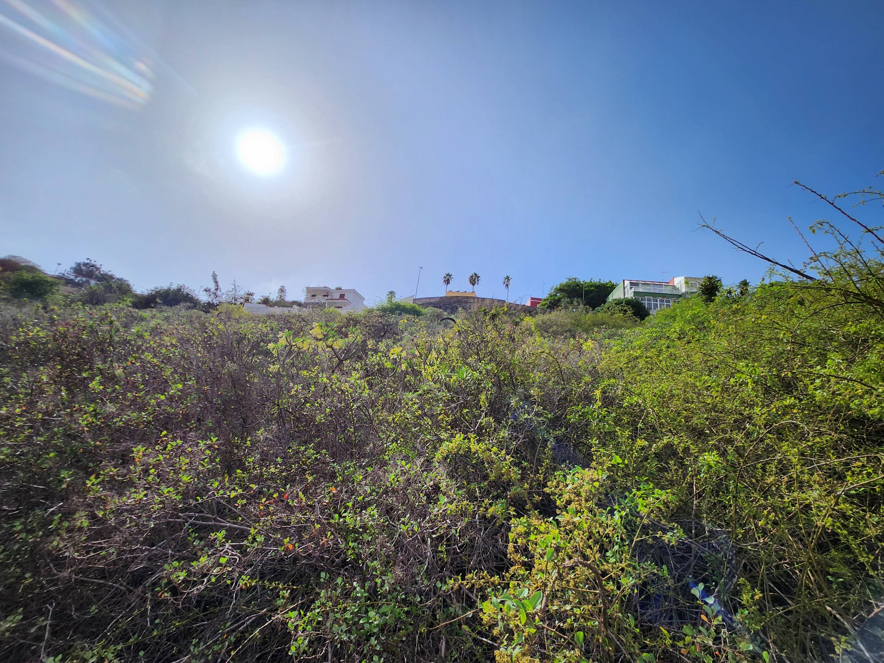 Fincas y solares-Venta-Las Palmas de Gran Canaria-980119-Foto-12