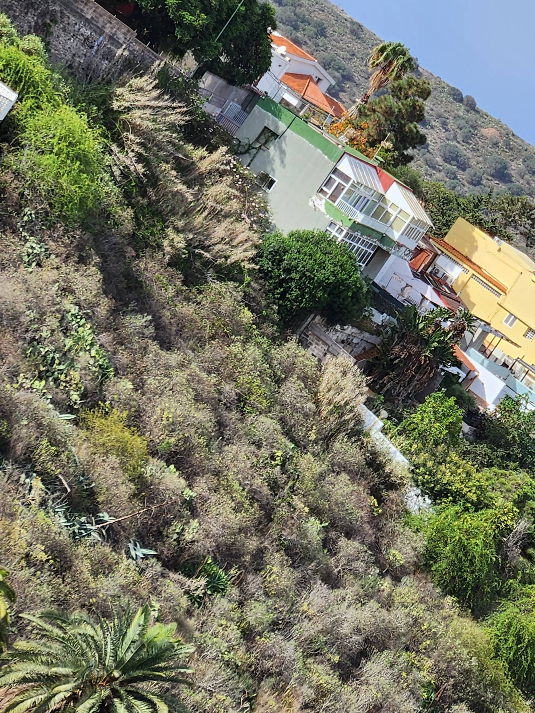 Fincas y solares-Venta-Las Palmas de Gran Canaria-980119-Foto-10
