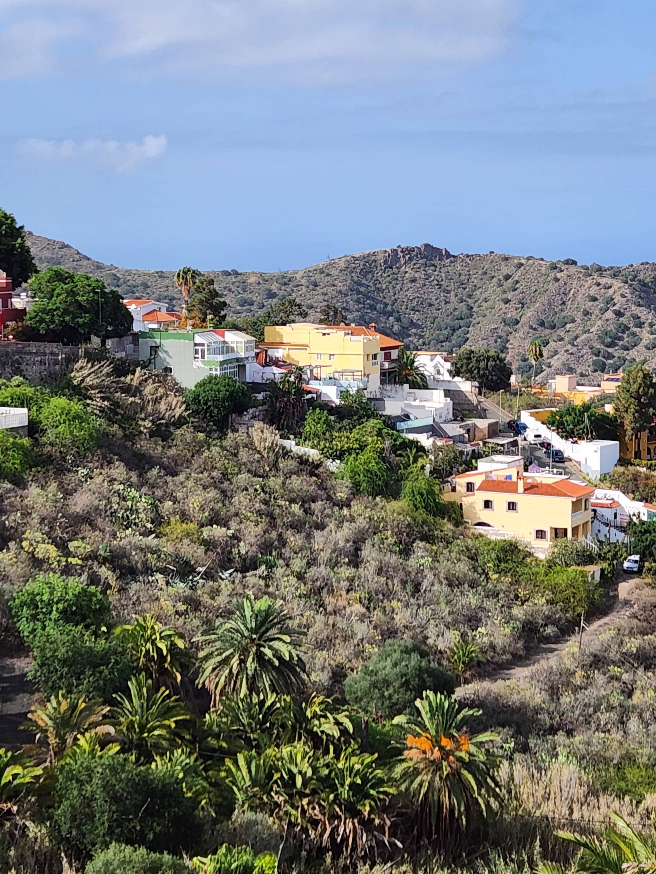Fincas y solares-Venta-Las Palmas de Gran Canaria-980119-Foto-16