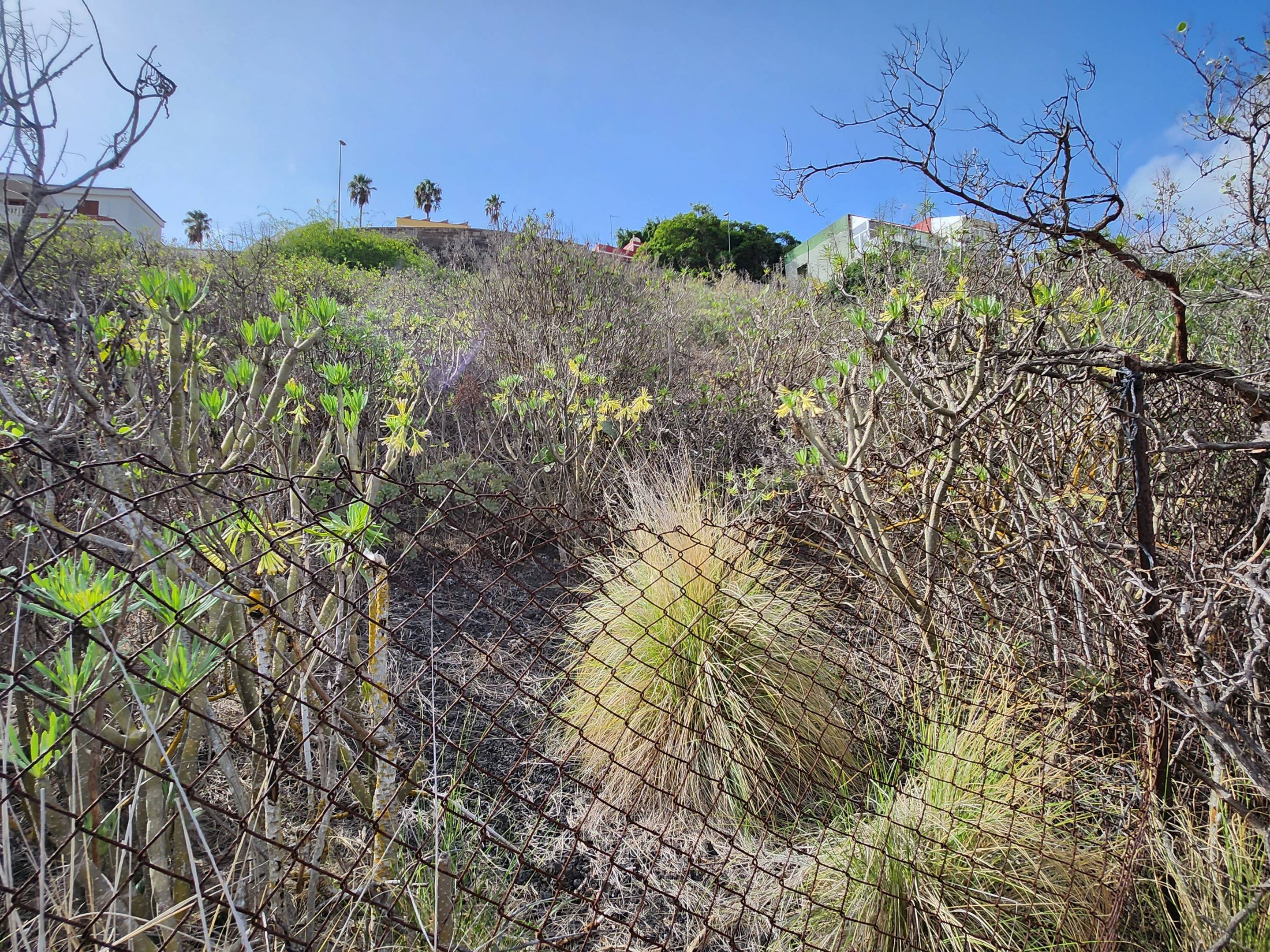 Fincas y solares-Venta-Las Palmas de Gran Canaria-980119-Foto-18