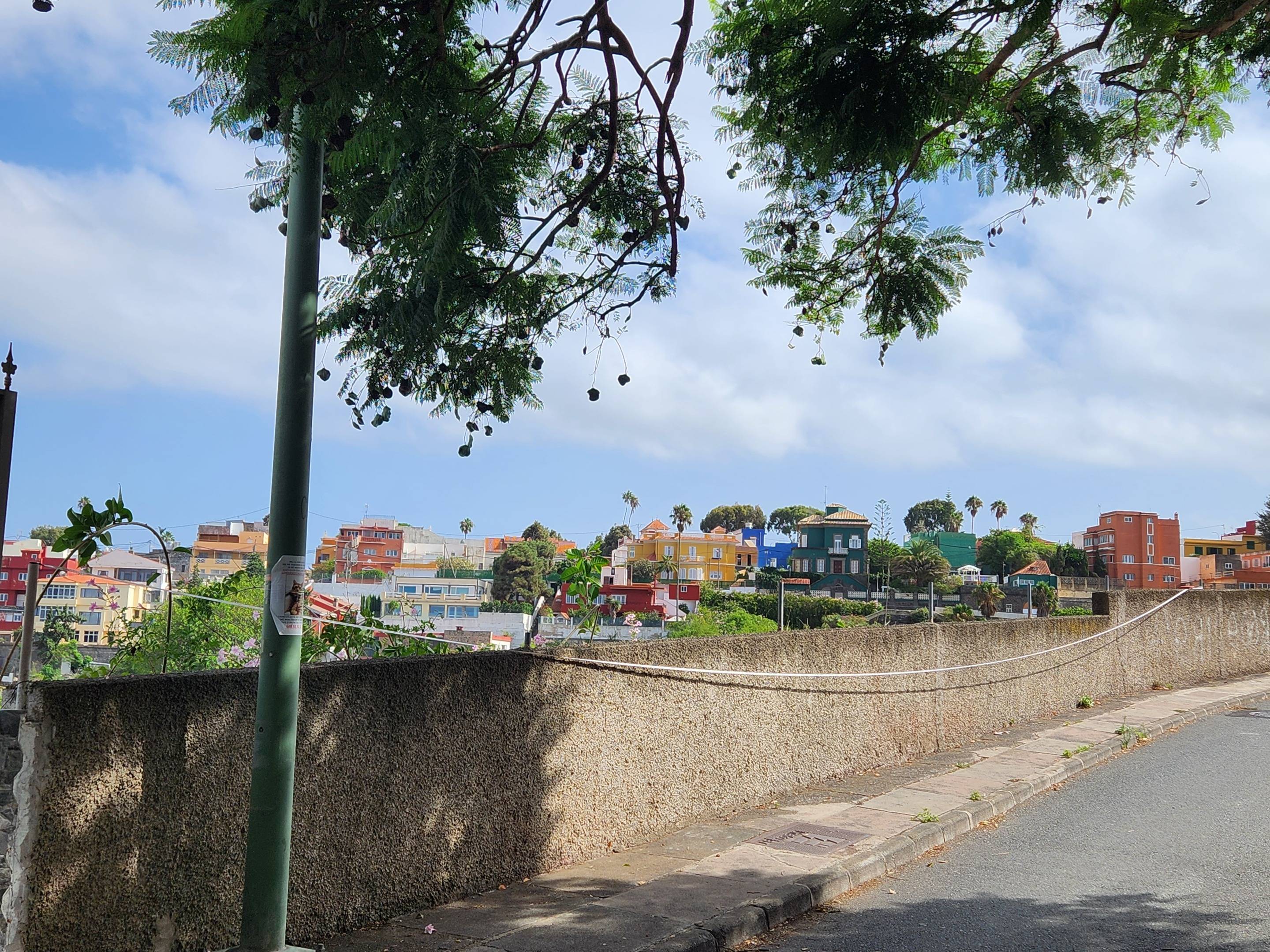 Fincas y solares-Venta-Las Palmas de Gran Canaria-980119-Foto-20