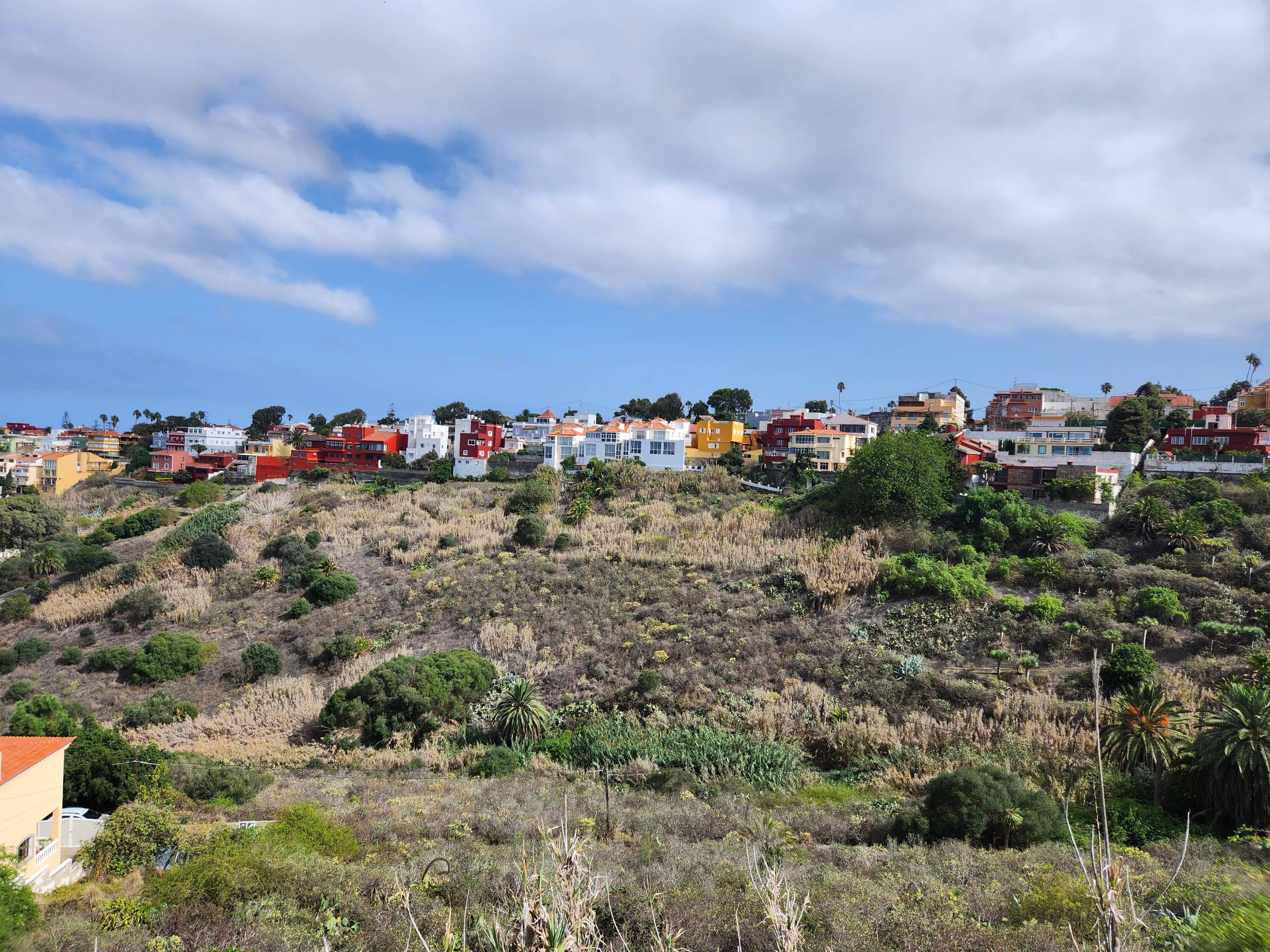 Fincas y solares-Venta-Las Palmas de Gran Canaria-980119-Foto-7
