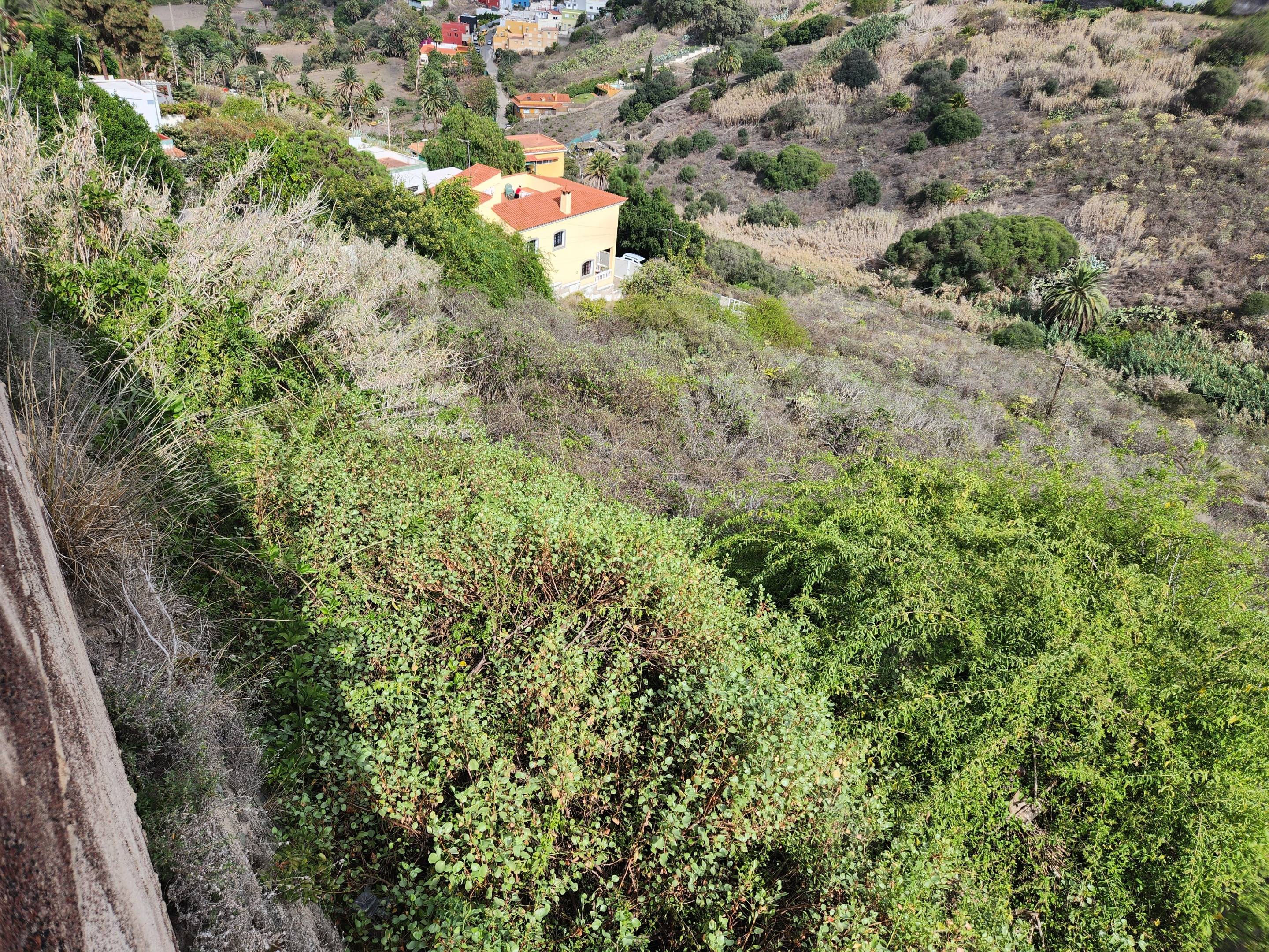 Fincas y solares-Venta-Las Palmas de Gran Canaria-980119-Foto-8