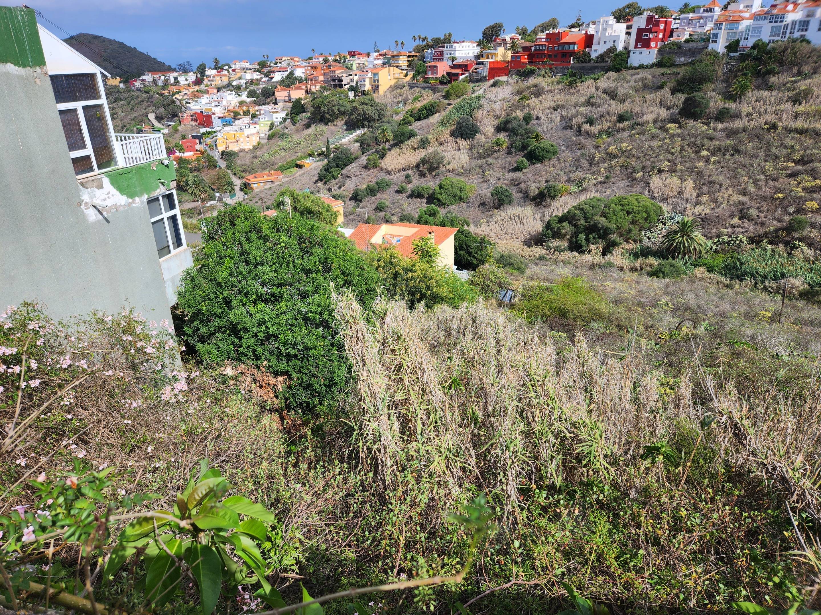 Fincas y solares-Venta-Las Palmas de Gran Canaria-980119-Foto-5