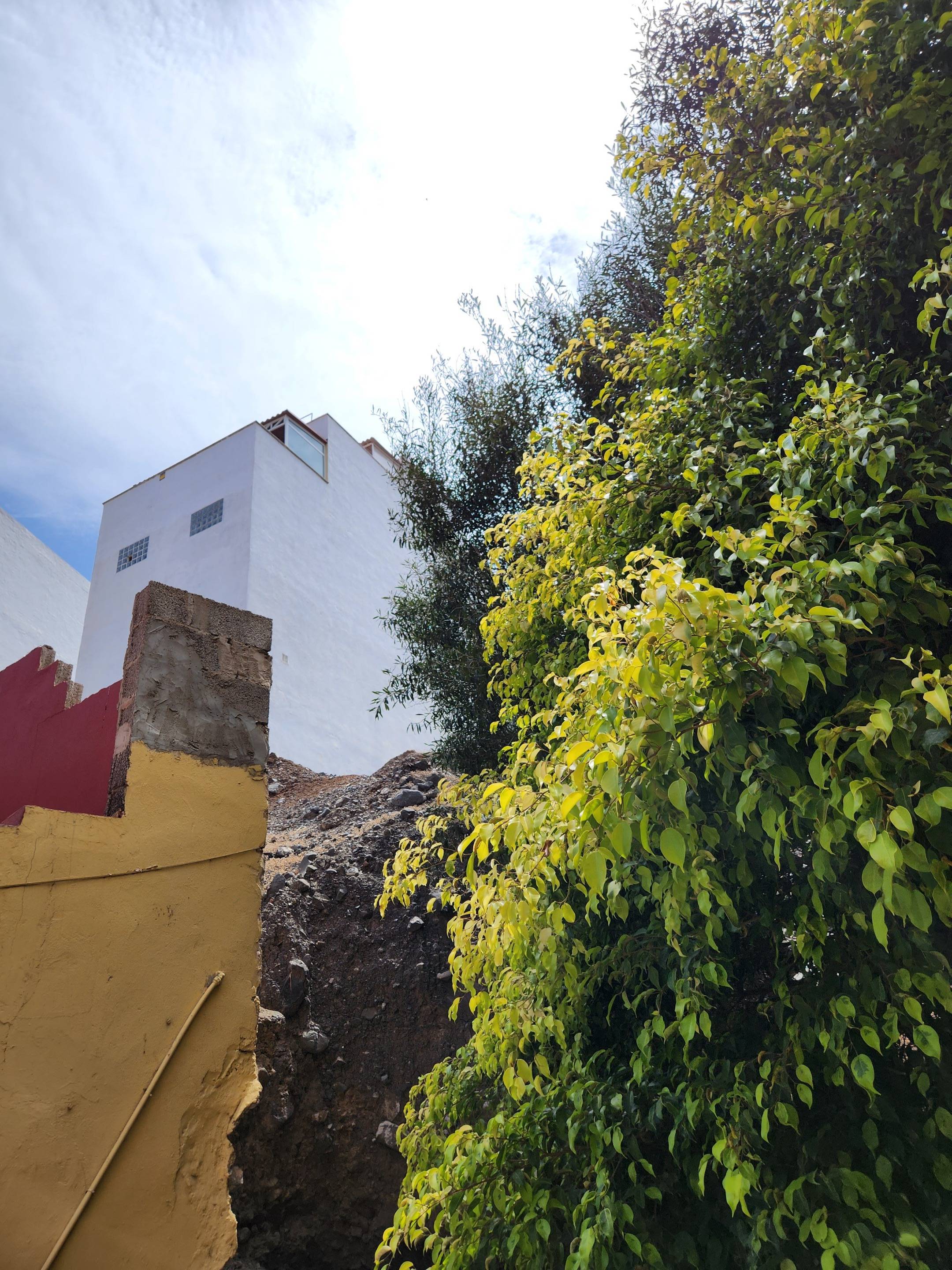 Fincas y solares-Venta-Las Palmas de Gran Canaria-977191-Foto-23