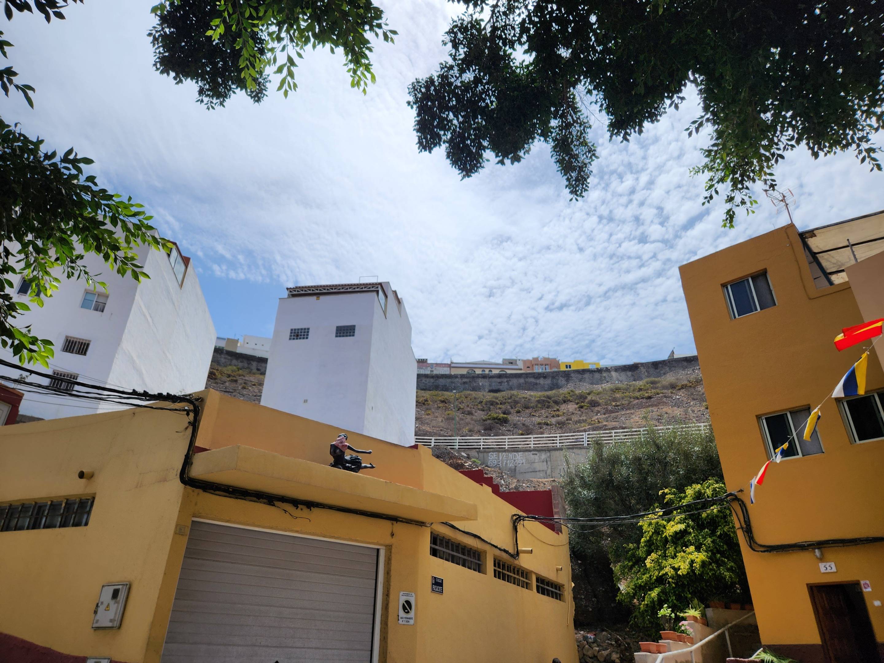 Fincas y solares-Venta-Las Palmas de Gran Canaria-977191-Foto-25