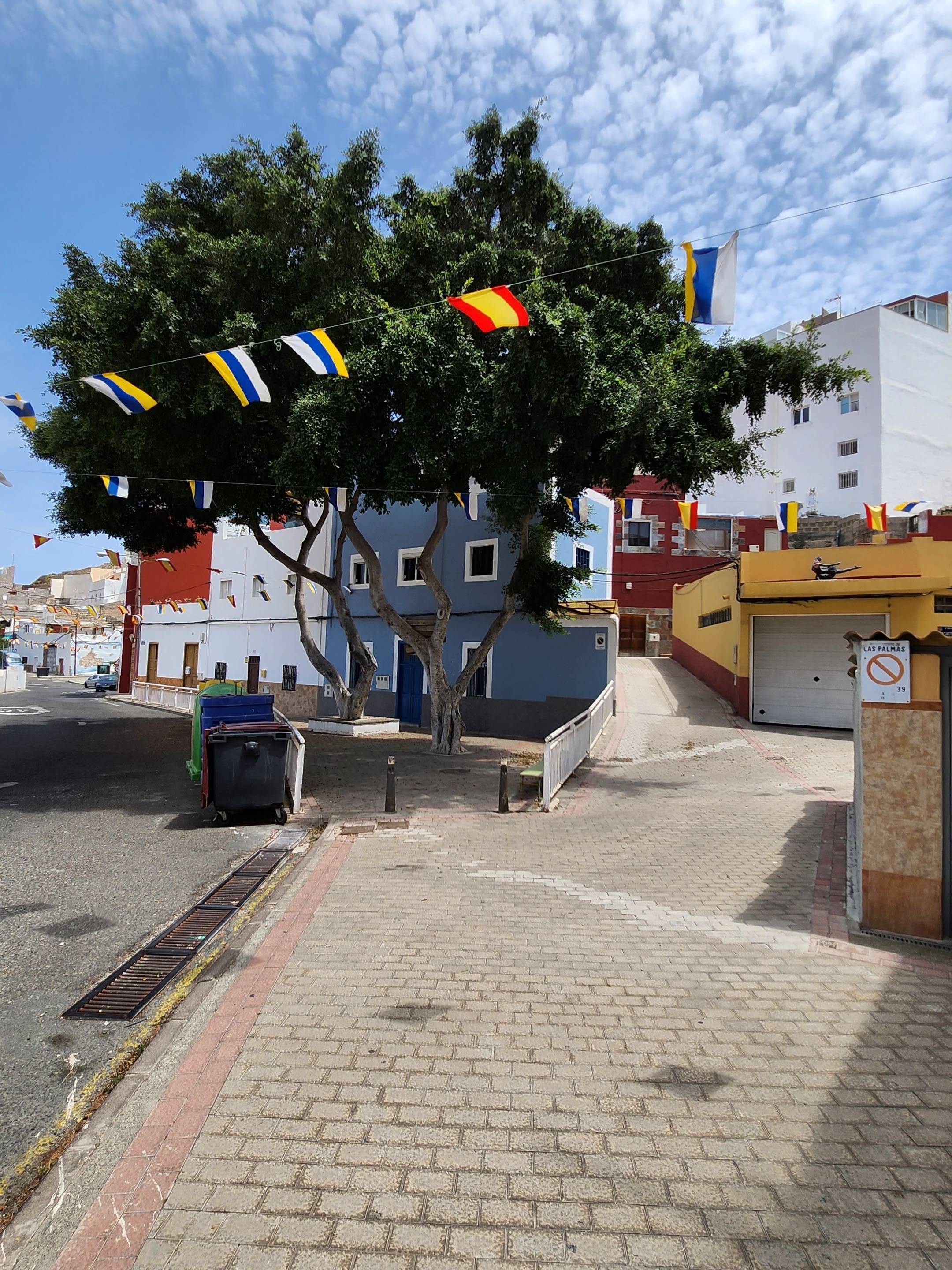 Fincas y solares-Venta-Las Palmas de Gran Canaria-977191-Foto-26