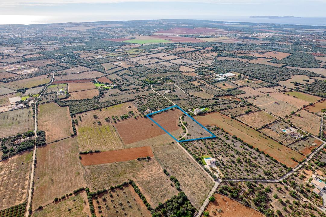 Fincas y solares-Venta-Ses Salines-1002912-Foto-6