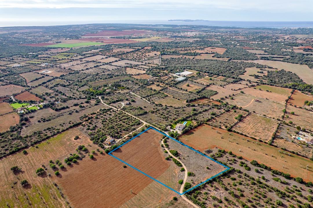Fincas y solares-Venta-Ses Salines-1002912-Foto-2