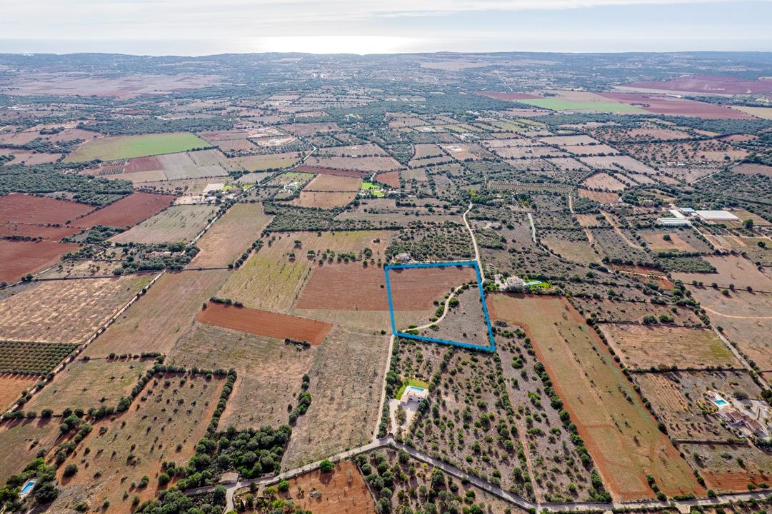Fincas y solares-Venta-Ses Salines-1002912-Foto-5