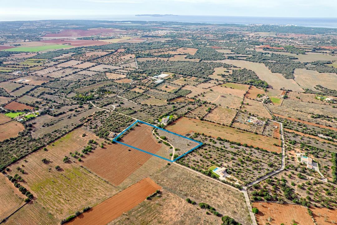 Fincas y solares-Venta-Ses Salines-1002912-Foto-4