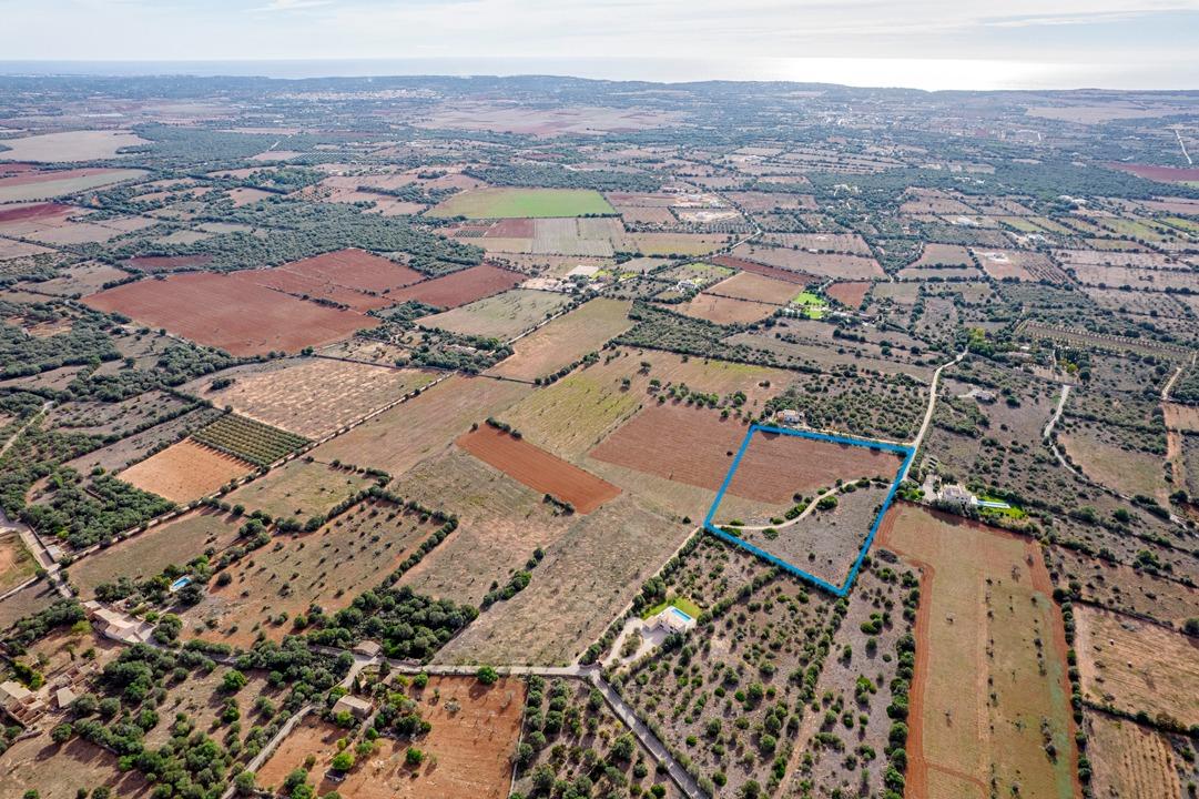 Fincas y solares-Venta-Ses Salines-1002912-Foto-7