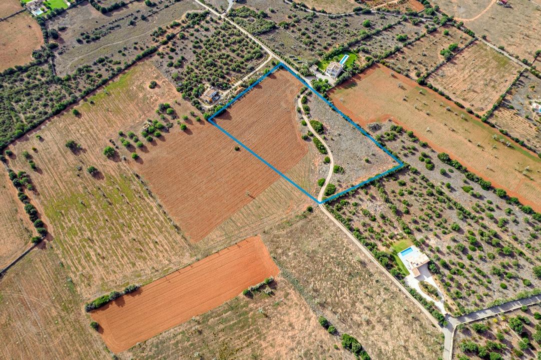 Fincas y solares-Venta-Ses Salines-1002912-Foto-8