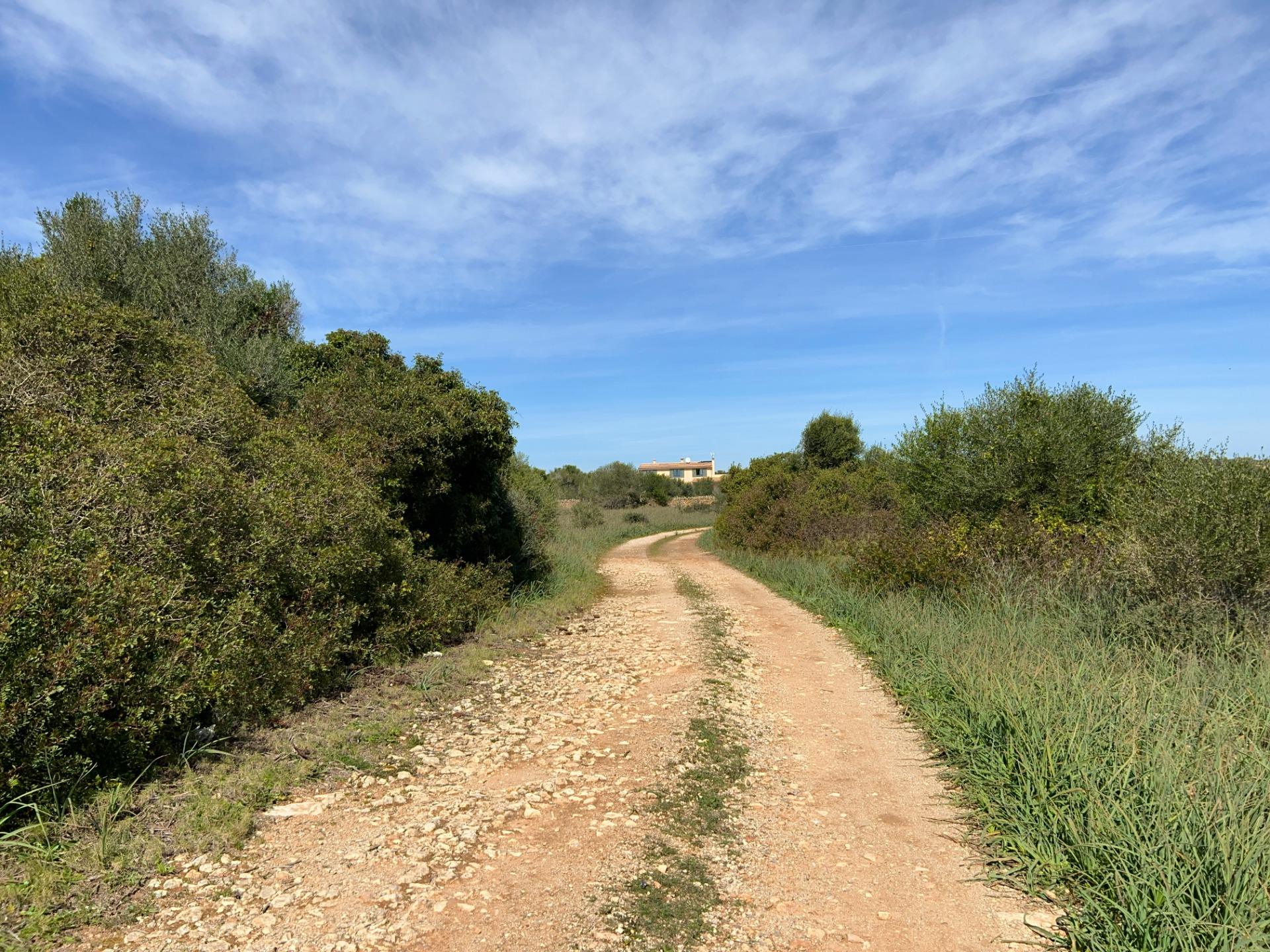 Fincas y solares-Venta-Ses Salines-1002912-Foto-9