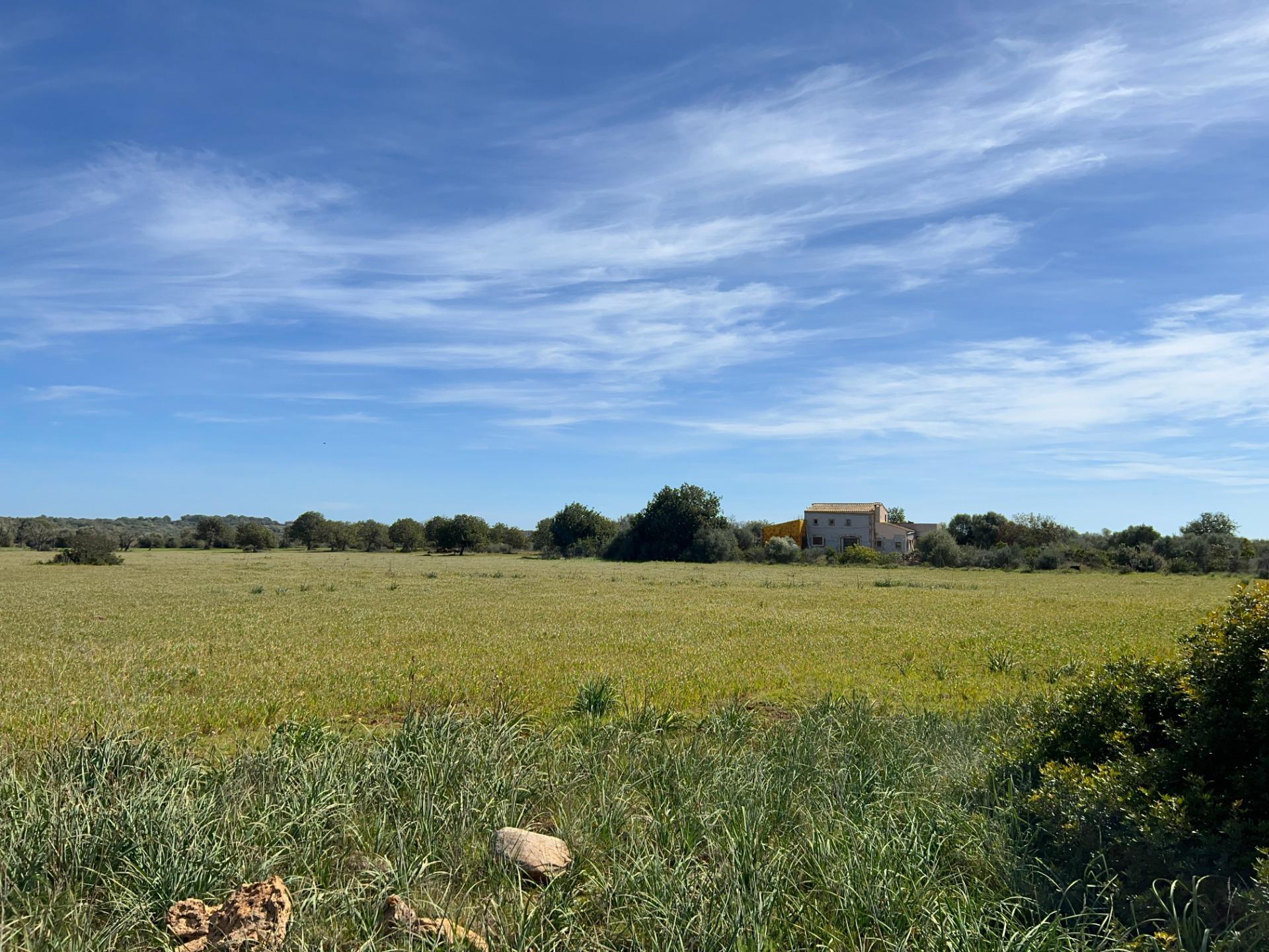 Fincas y solares-Venta-Ses Salines-1002912-Foto-12