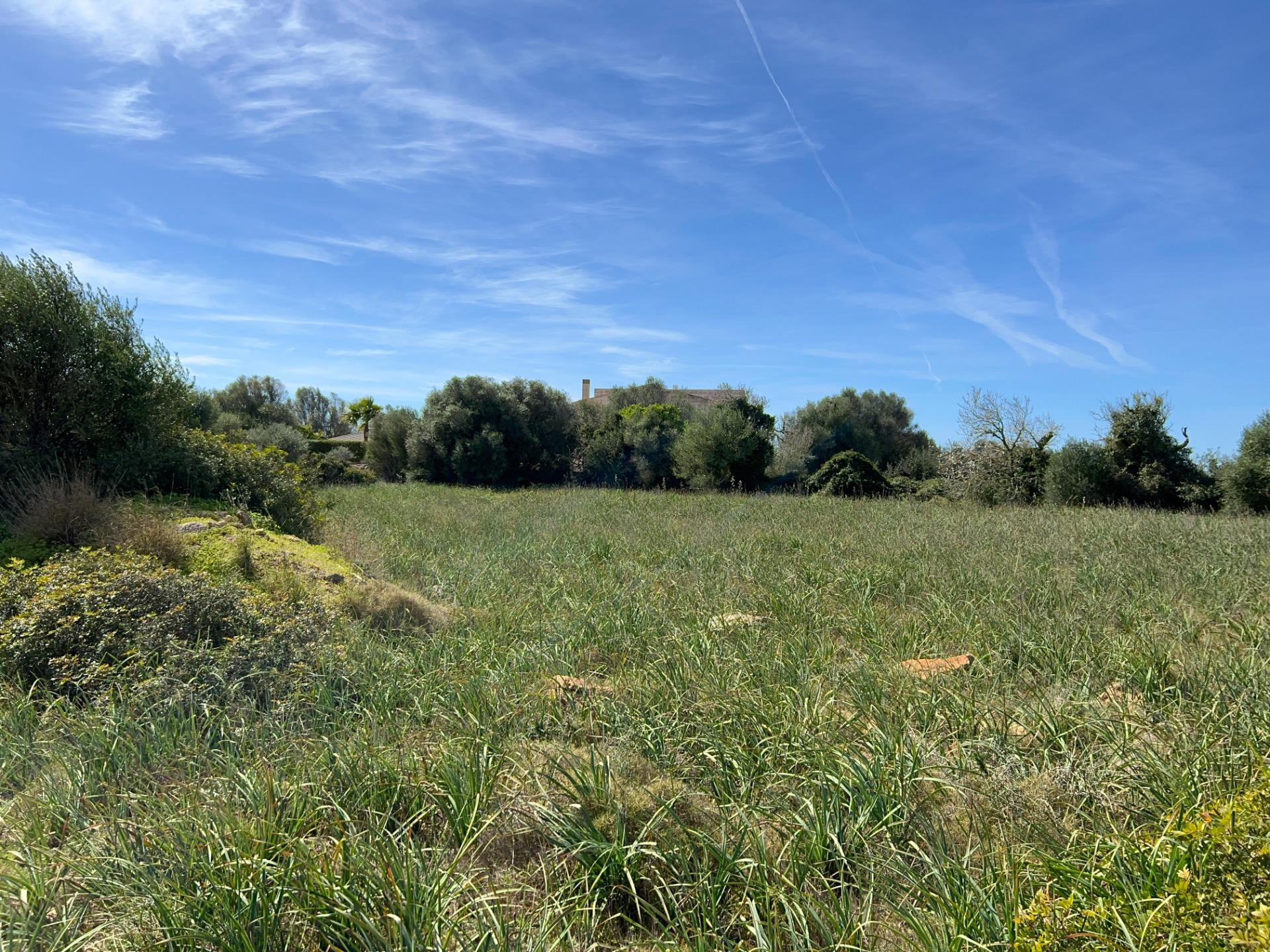 Fincas y solares-Venta-Ses Salines-1002912-Foto-13