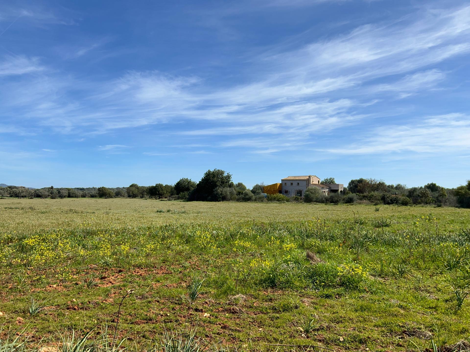 Fincas y solares-Venta-Ses Salines-1002912-Foto-17