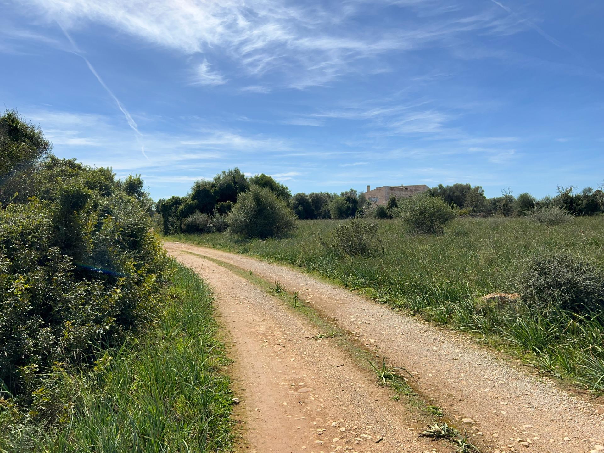 Fincas y solares-Venta-Ses Salines-1002912-Foto-27