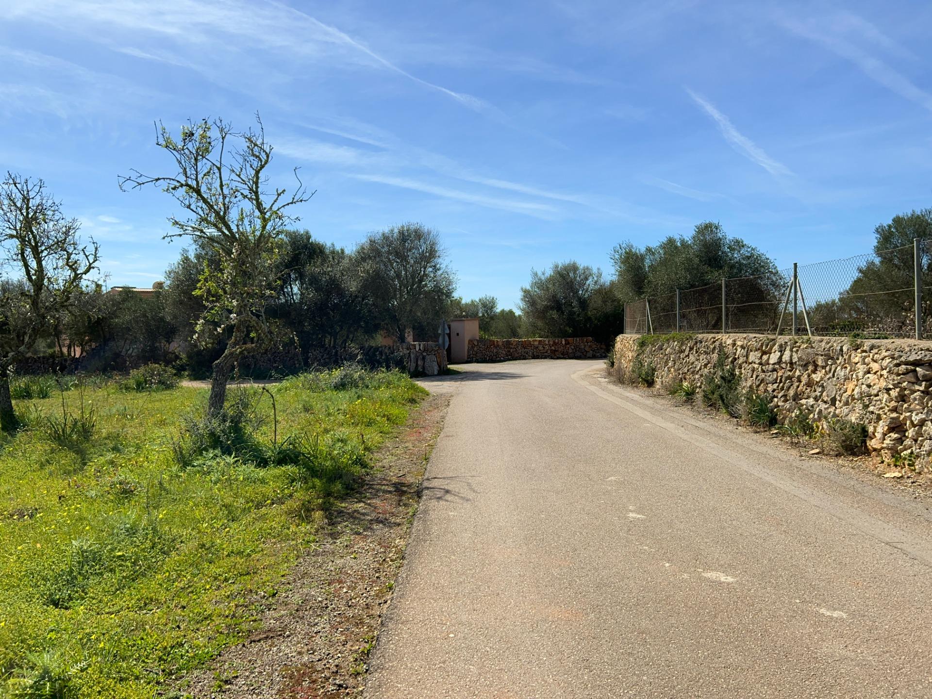 Fincas y solares-Venta-Ses Salines-1002912-Foto-30