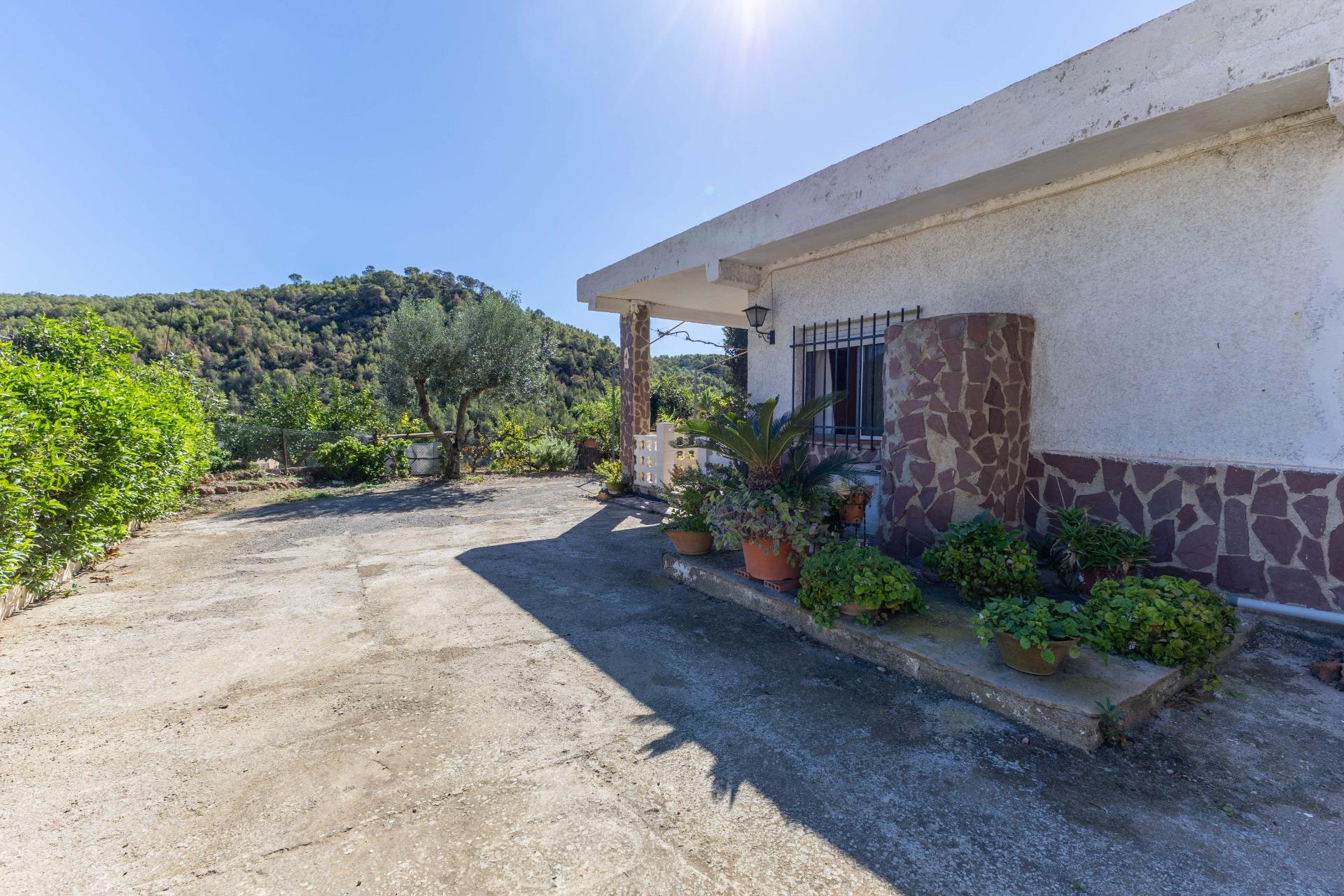 Casas o chalets-Venta-PuÃ§ol-1836488-Foto-33