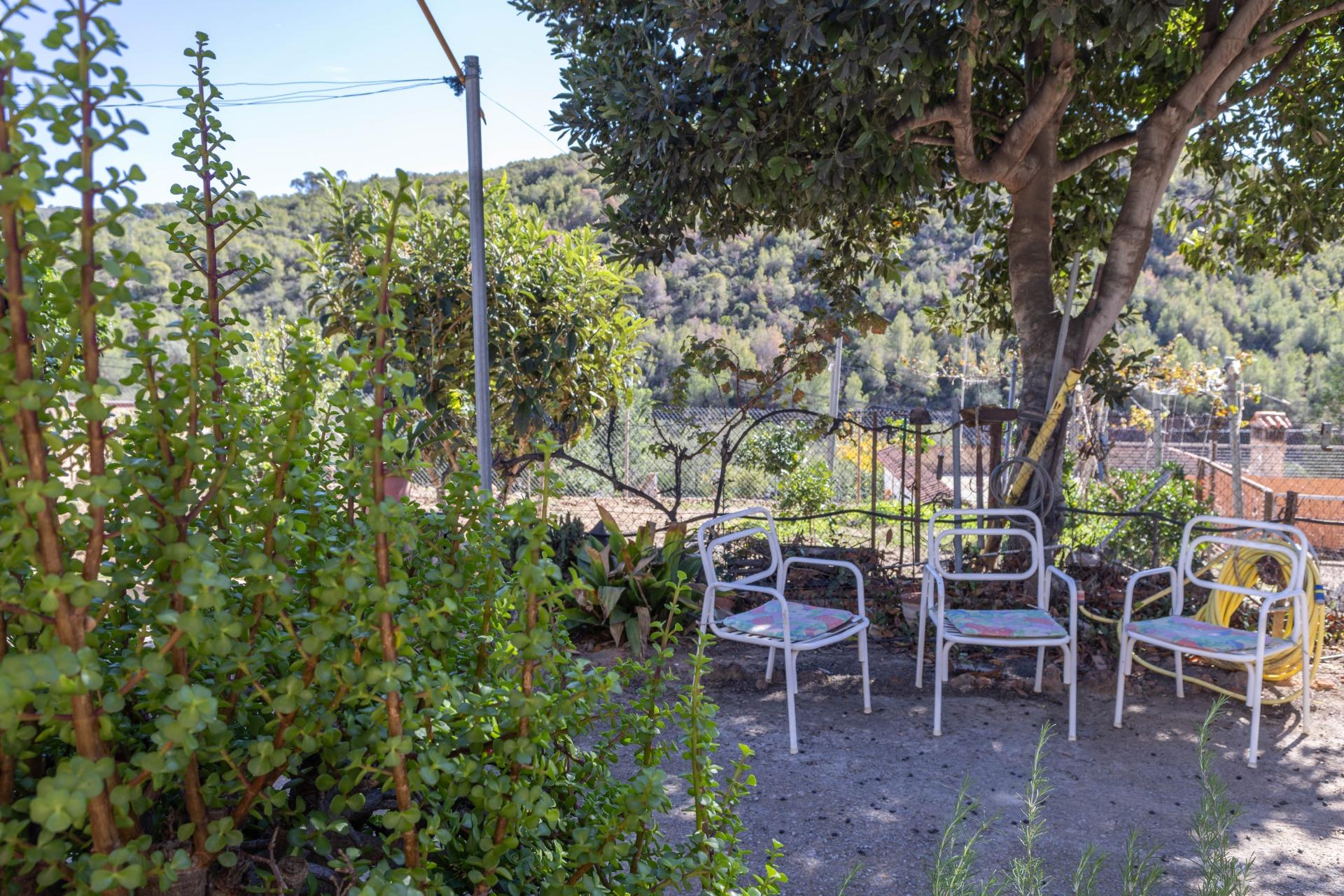 Casas o chalets-Venta-PuÃ§ol-1836488-Foto-31