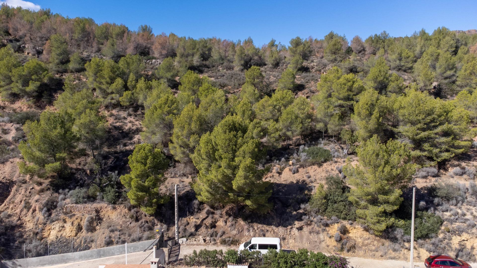 Casas o chalets-Venta-PuÃ§ol-1836488-Foto-47