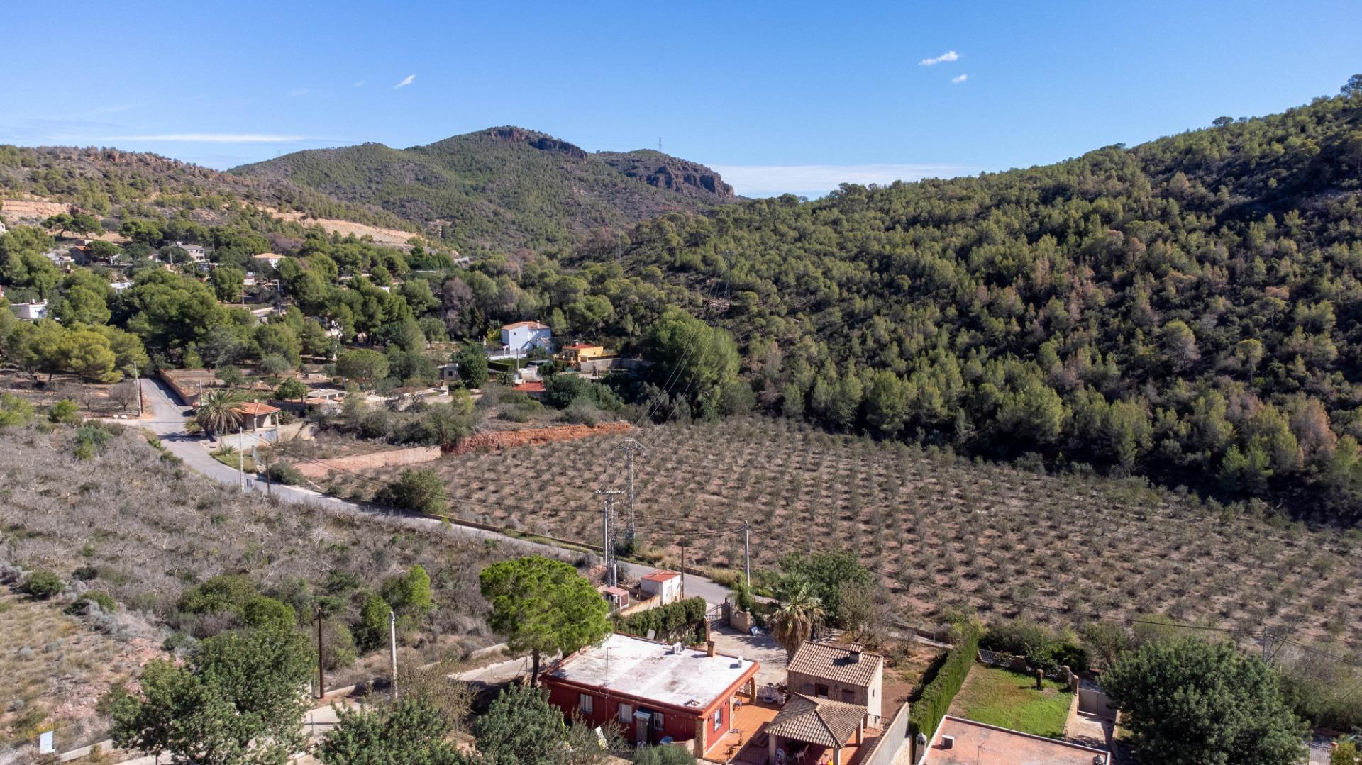 Casas o chalets-Venta-PuÃ§ol-1836488-Foto-48
