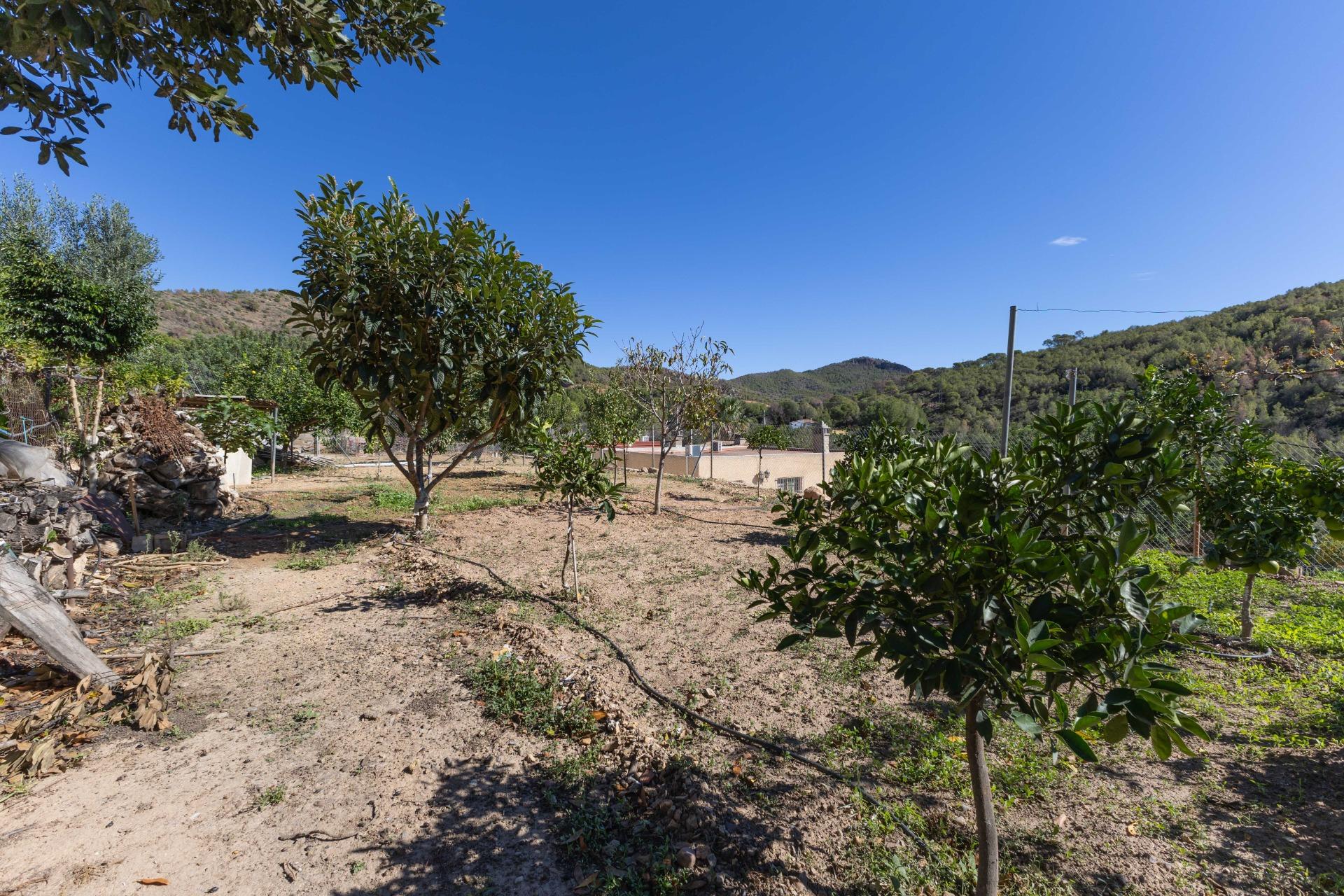 Casas o chalets-Venta-PuÃ§ol-1836488-Foto-51