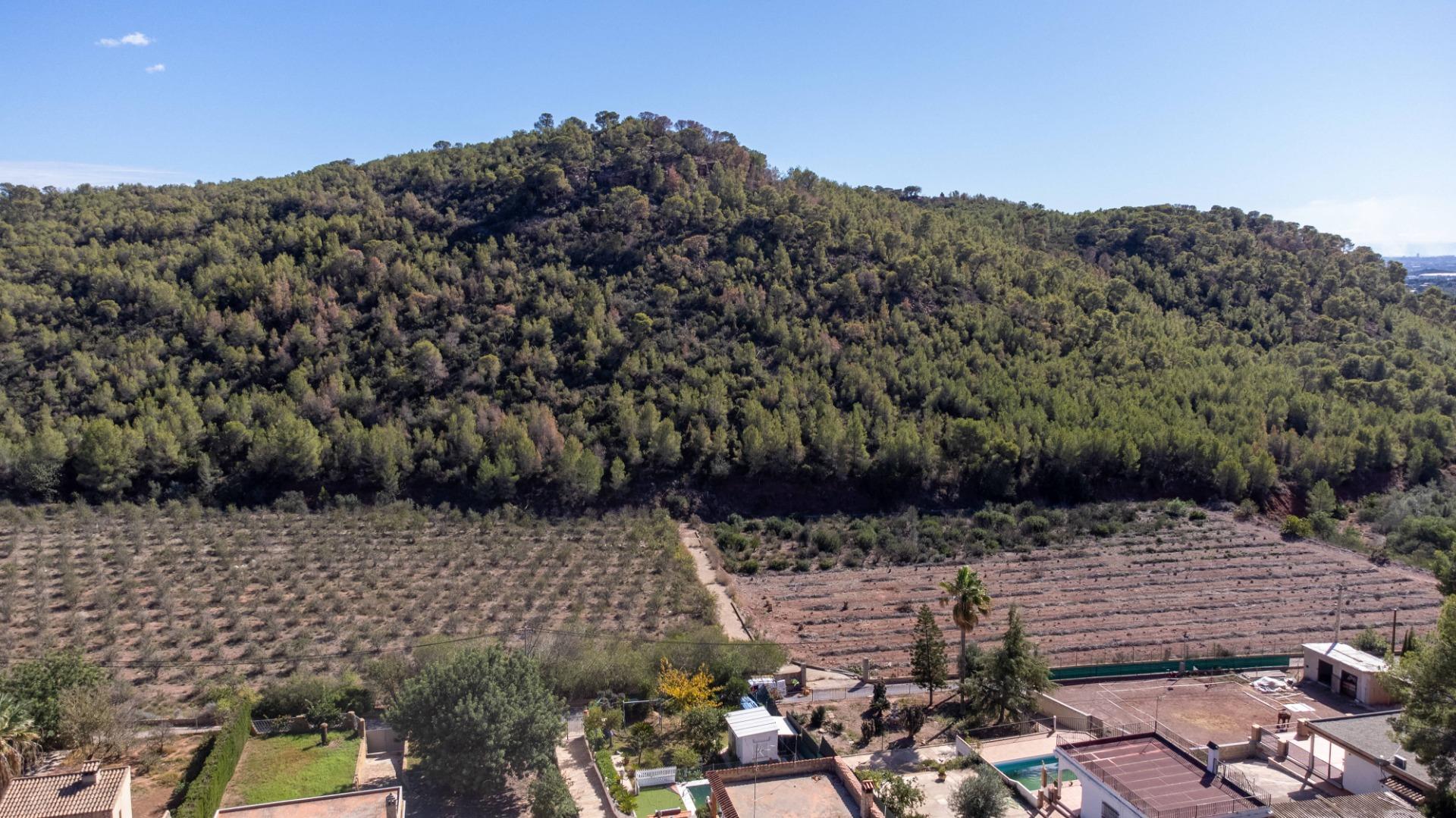 Casas o chalets-Venta-PuÃ§ol-1836488-Foto-49