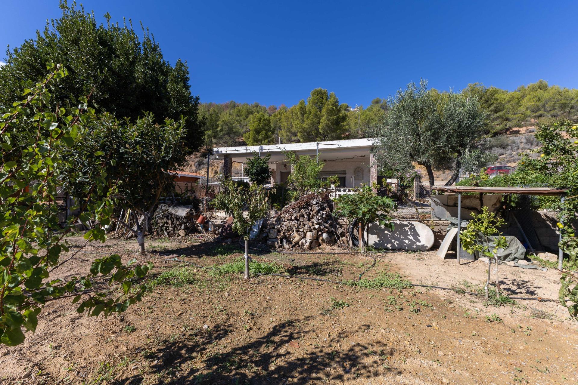 Casas o chalets-Venta-PuÃ§ol-1836488-Foto-53