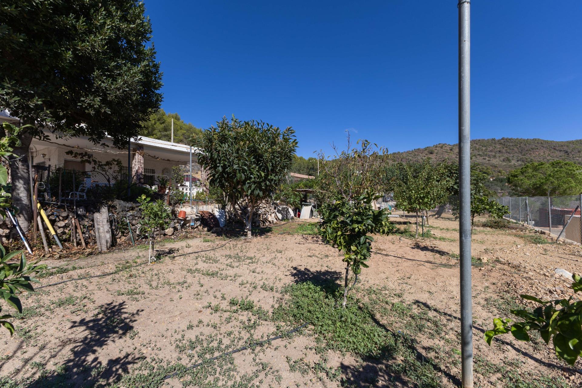 Casas o chalets-Venta-PuÃ§ol-1836488-Foto-52