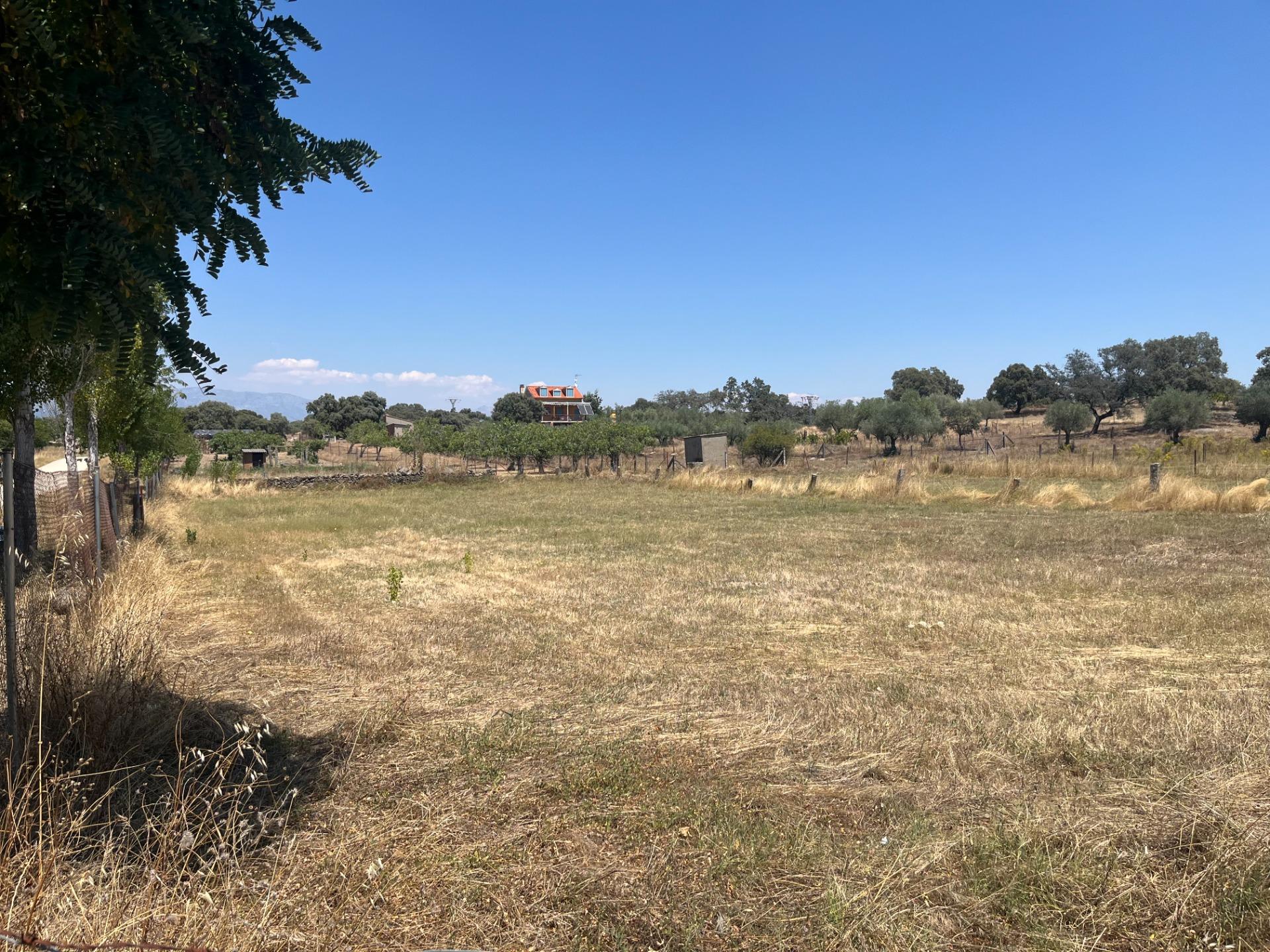 Fincas y solares-Venta-NavalcÃ¡n-1462346-Foto-2