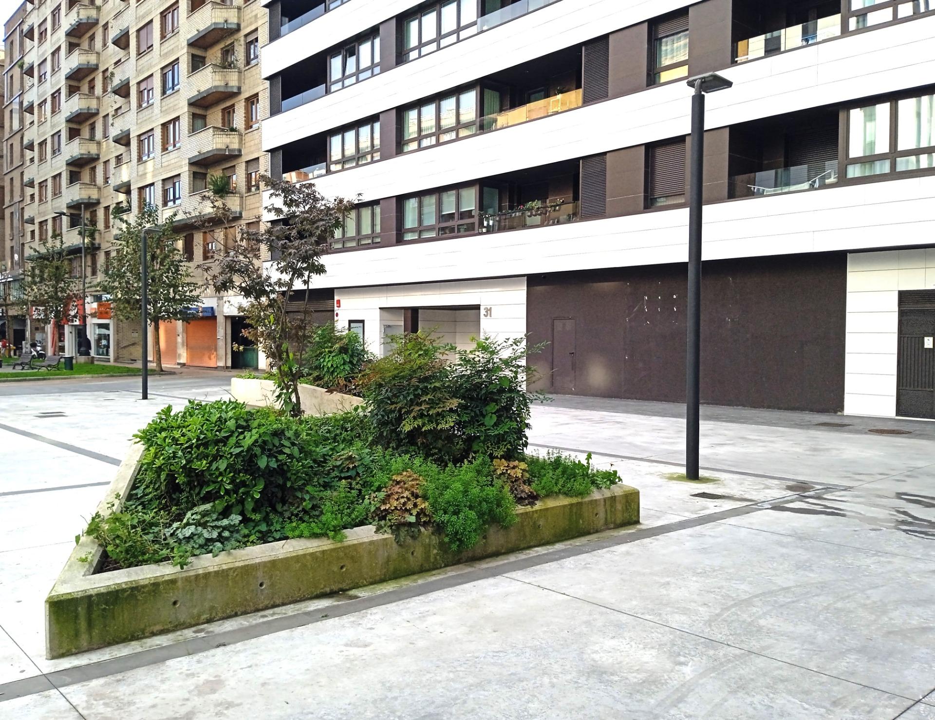 Local Comercial en alquiler, Oviedo, Asturias, Asturias