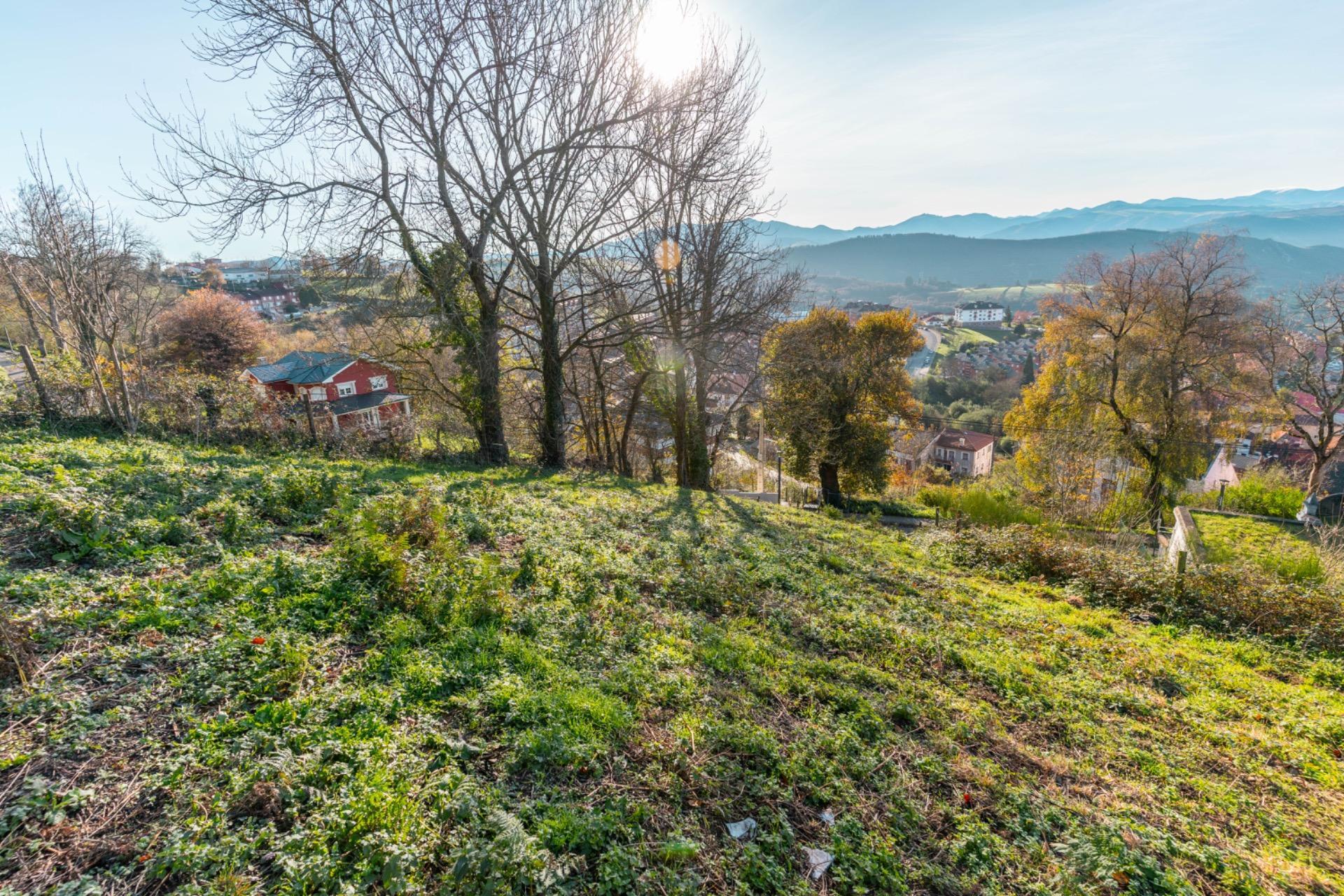 Fincas y solares-Venta-Tineo-1037180-Foto-13