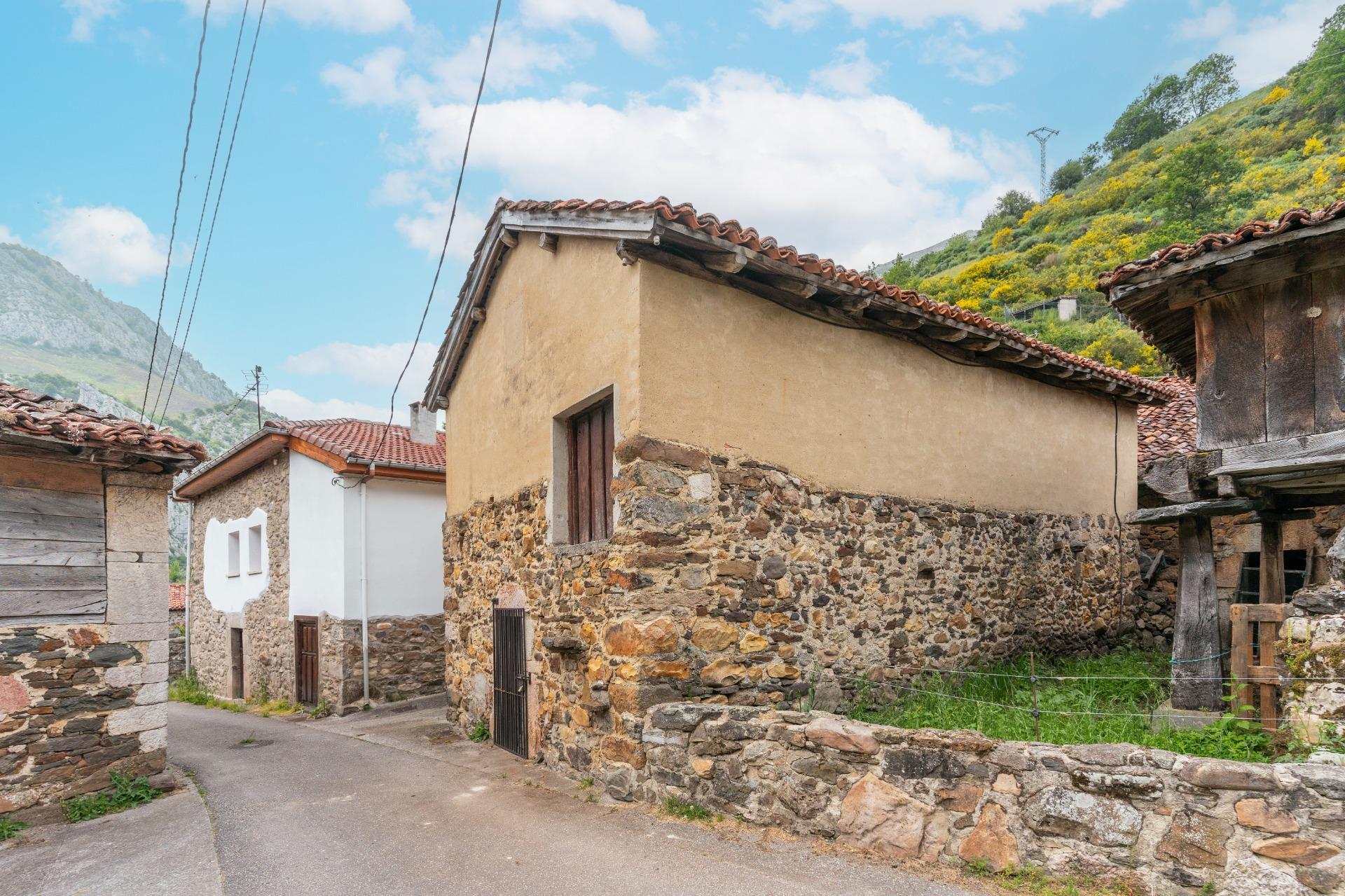 Casas o chalets-Venta-Teverga-1151027-Foto-2