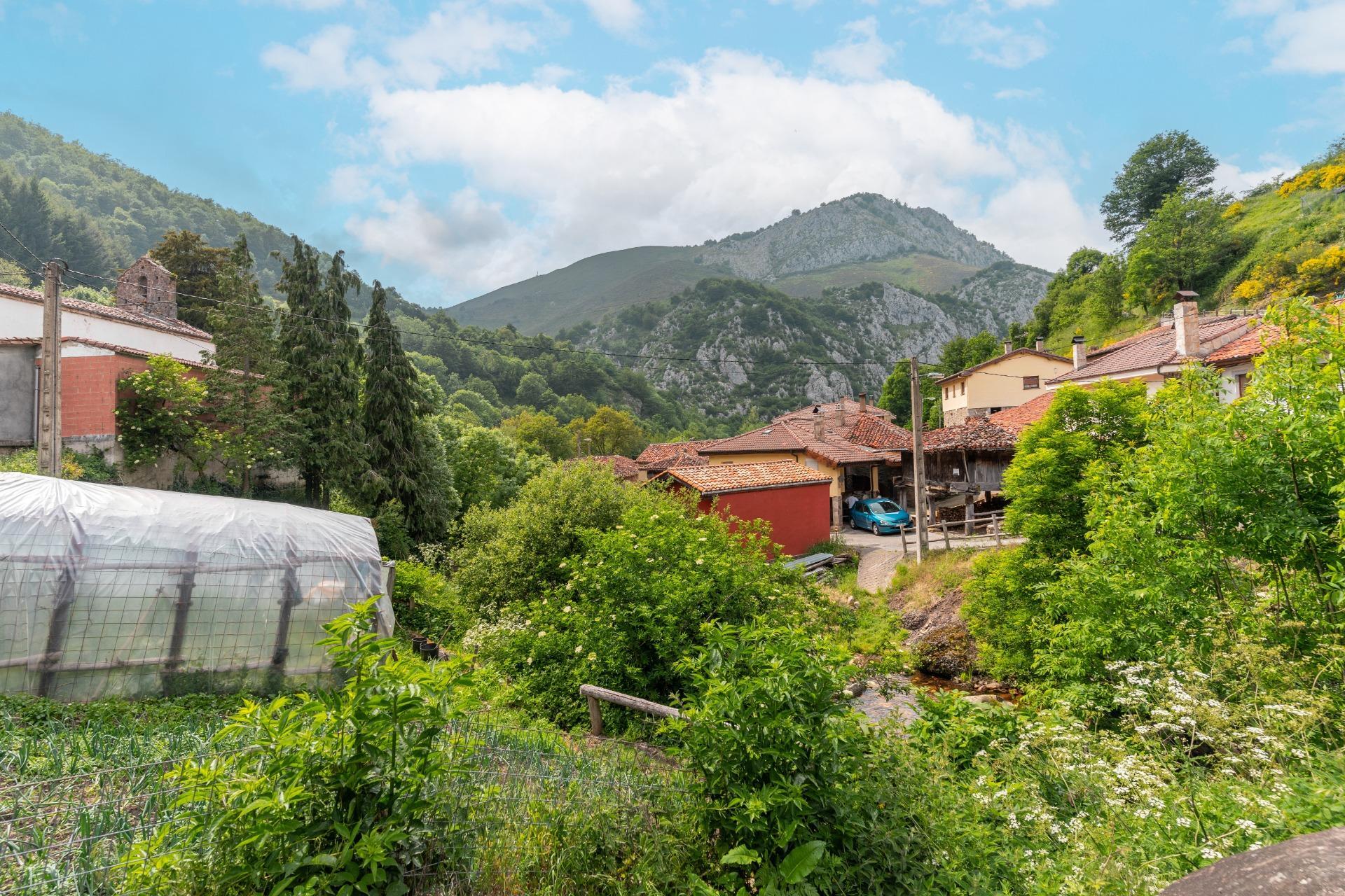 Casas o chalets-Venta-Teverga-1151027-Foto-8